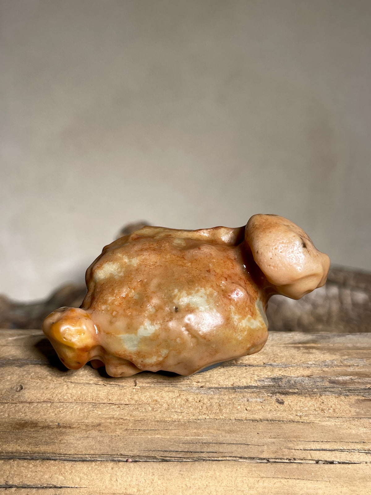 (1119)Natural Alxa Gobi Desert Varnish Stone - Bird-like Mimetolith