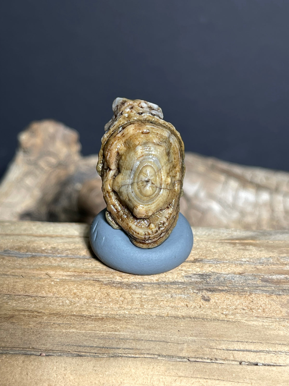 (1085)Natural Alxa Gobi Eye Agate - Large Oval Orbicular Eye