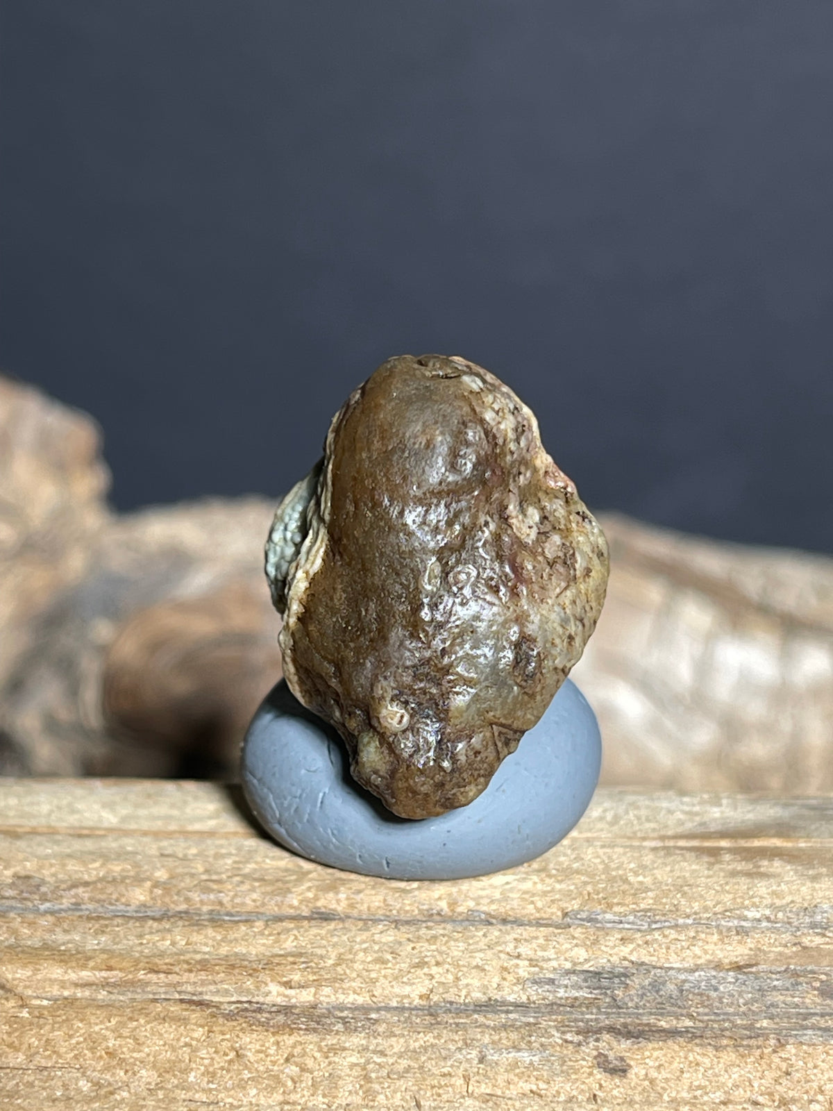 (1091)Natural Alxa Gobi Eye Agate - Buddha Figure Mimetolith Specimen