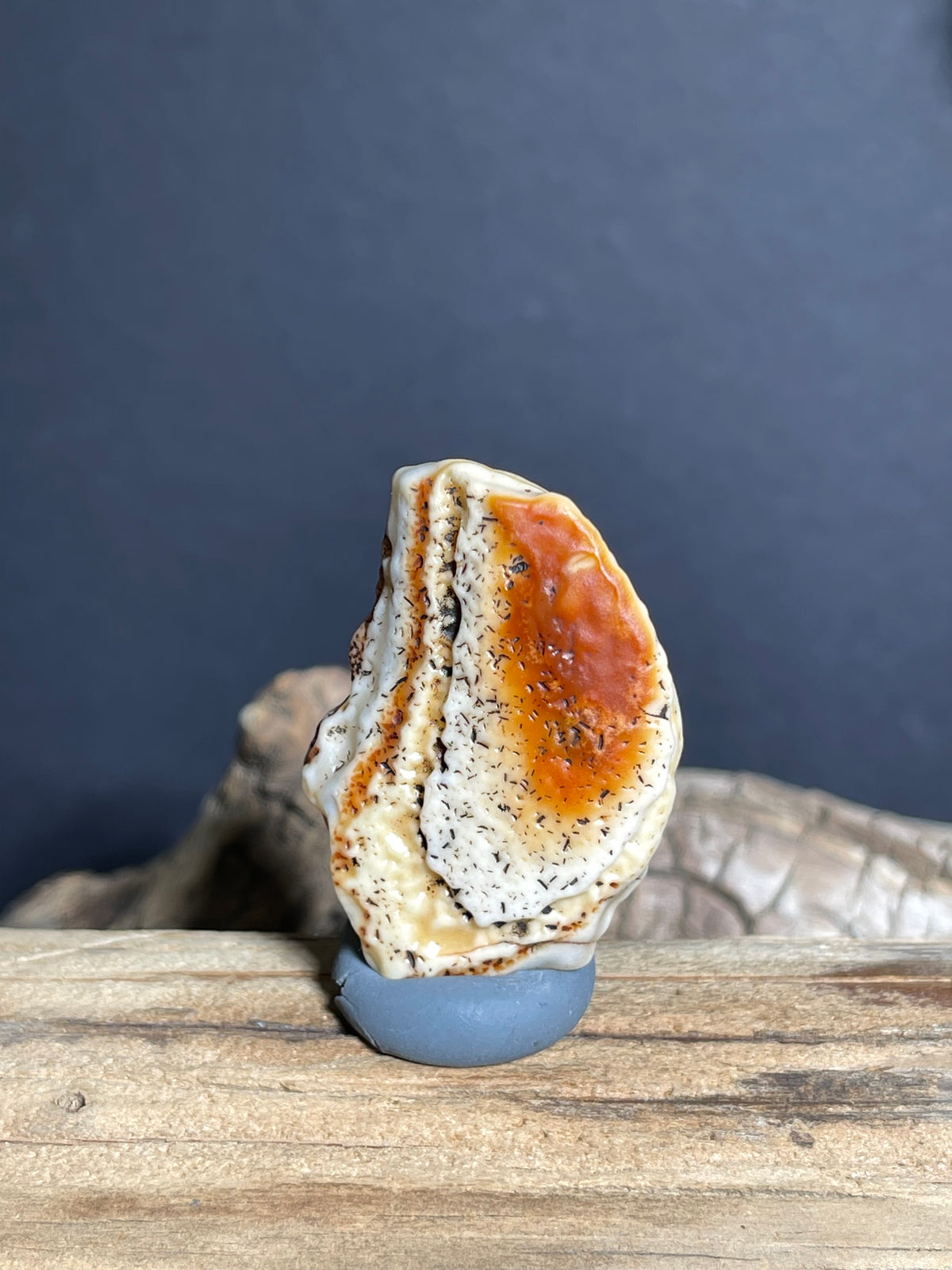 (1007)Alxa Gobi Agate with Black Dendritic Inclusions - Natural Desert Varnish Stone
