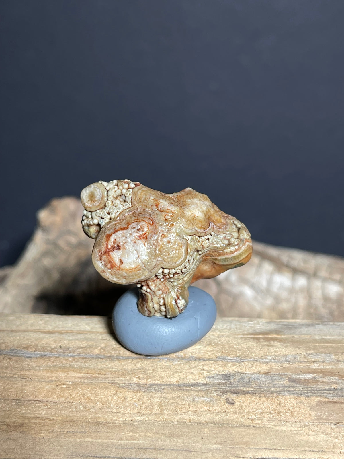 (1099)Natural Alxa Gobi Eye Agate - Multi-Eye Orbicular Stone with Botryoidal Texture