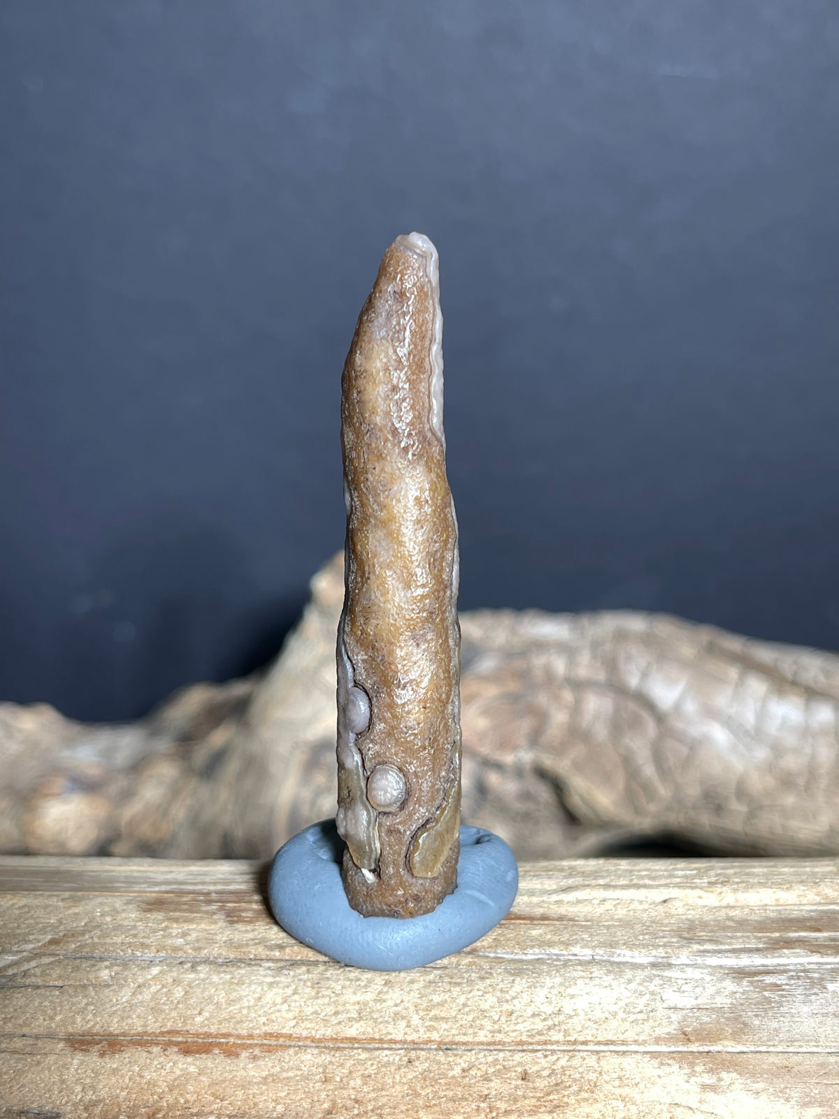 (1031) Natural Alxa Gobi Eye Agate - Long Narrow Stone with Raised Chalcedony Vein