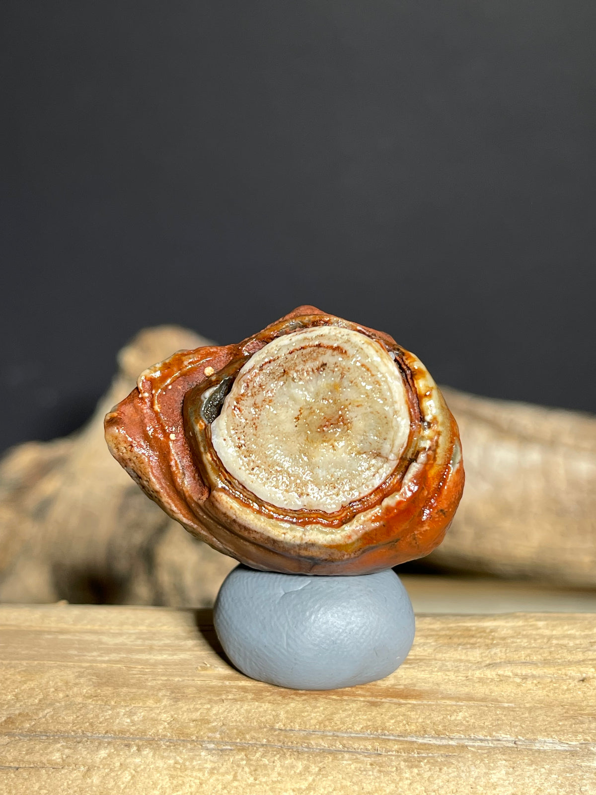 (1130) Natural Alxa Gobi Red Eye Agate- Large Concentric Eye Collector Specimen