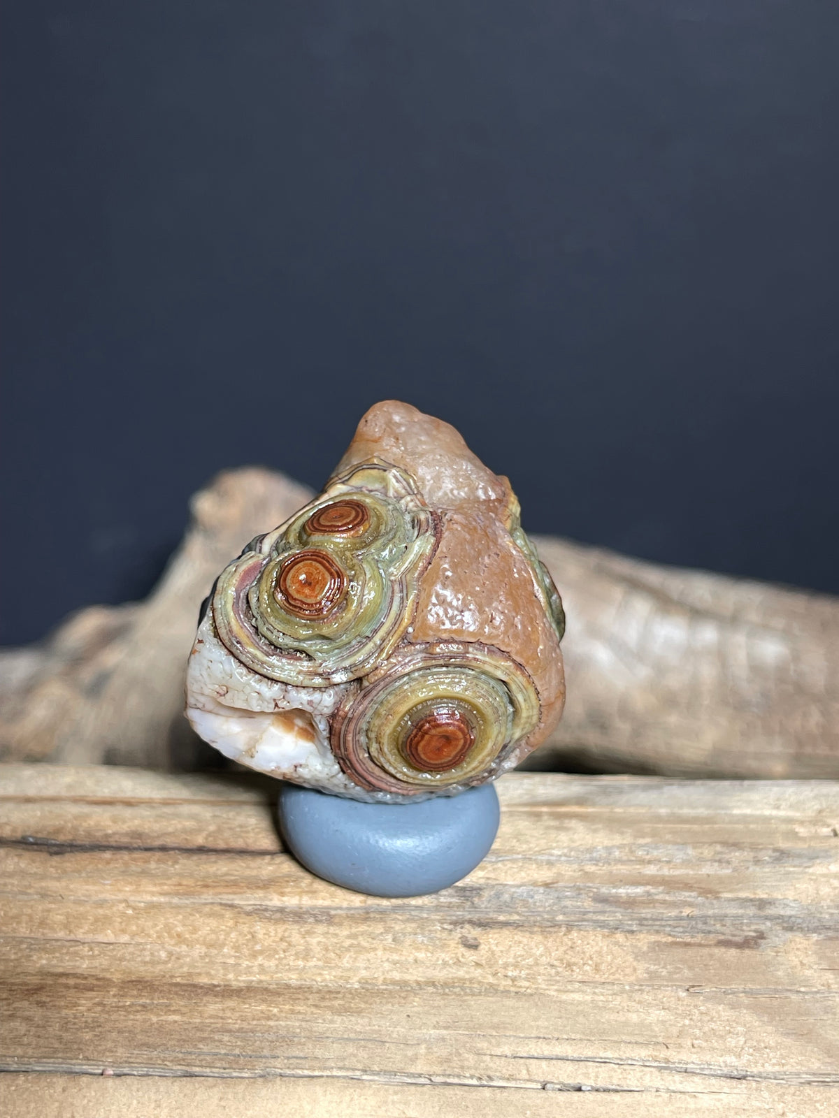 (1052)Natural Alxa Gobi Eye Agate - Multi-Eye Red & Green Collector Stone