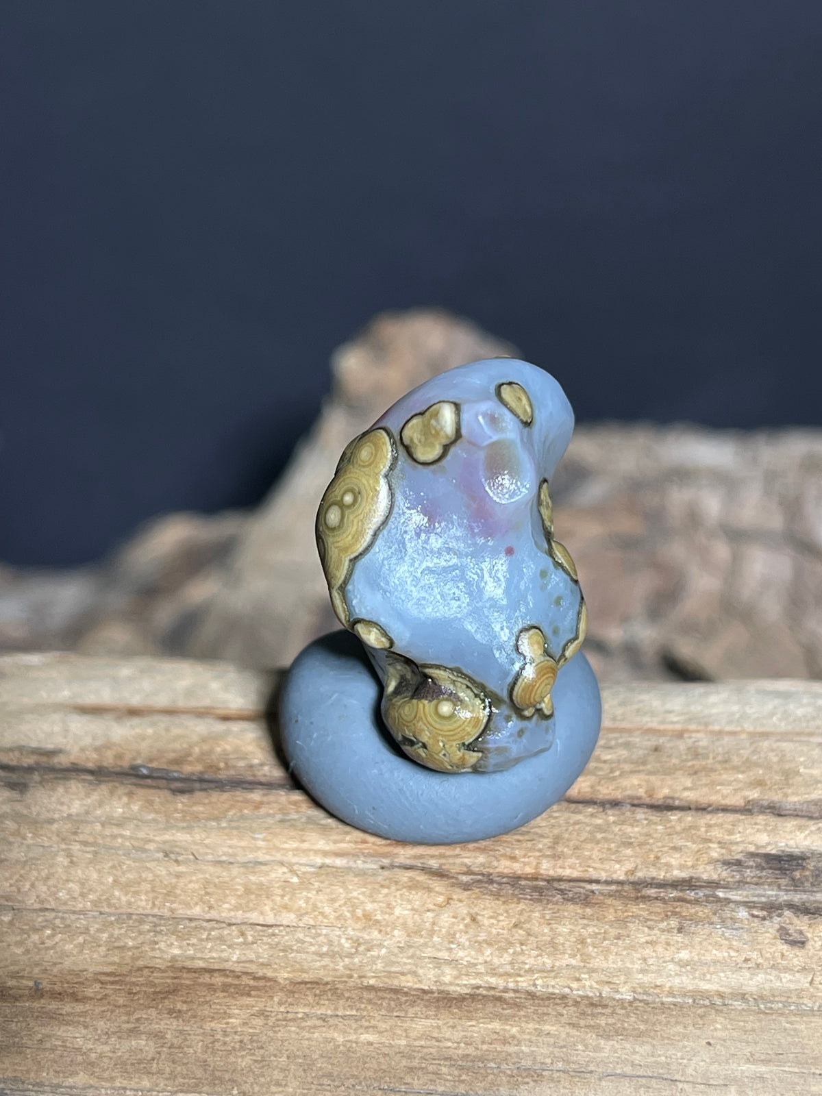 (1017)Natural Alxa Gobi Eye Agate - Blue Gray Stone with Golden Orbicular Eyes