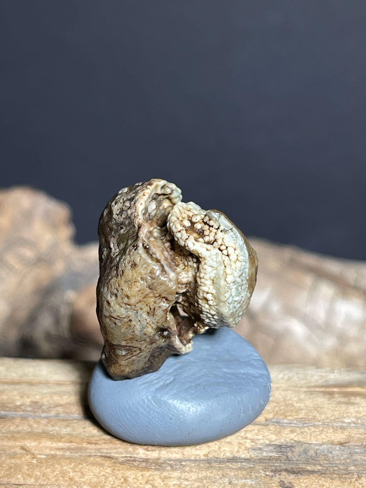 (1091)Natural Alxa Gobi Eye Agate - Buddha Figure Mimetolith Specimen