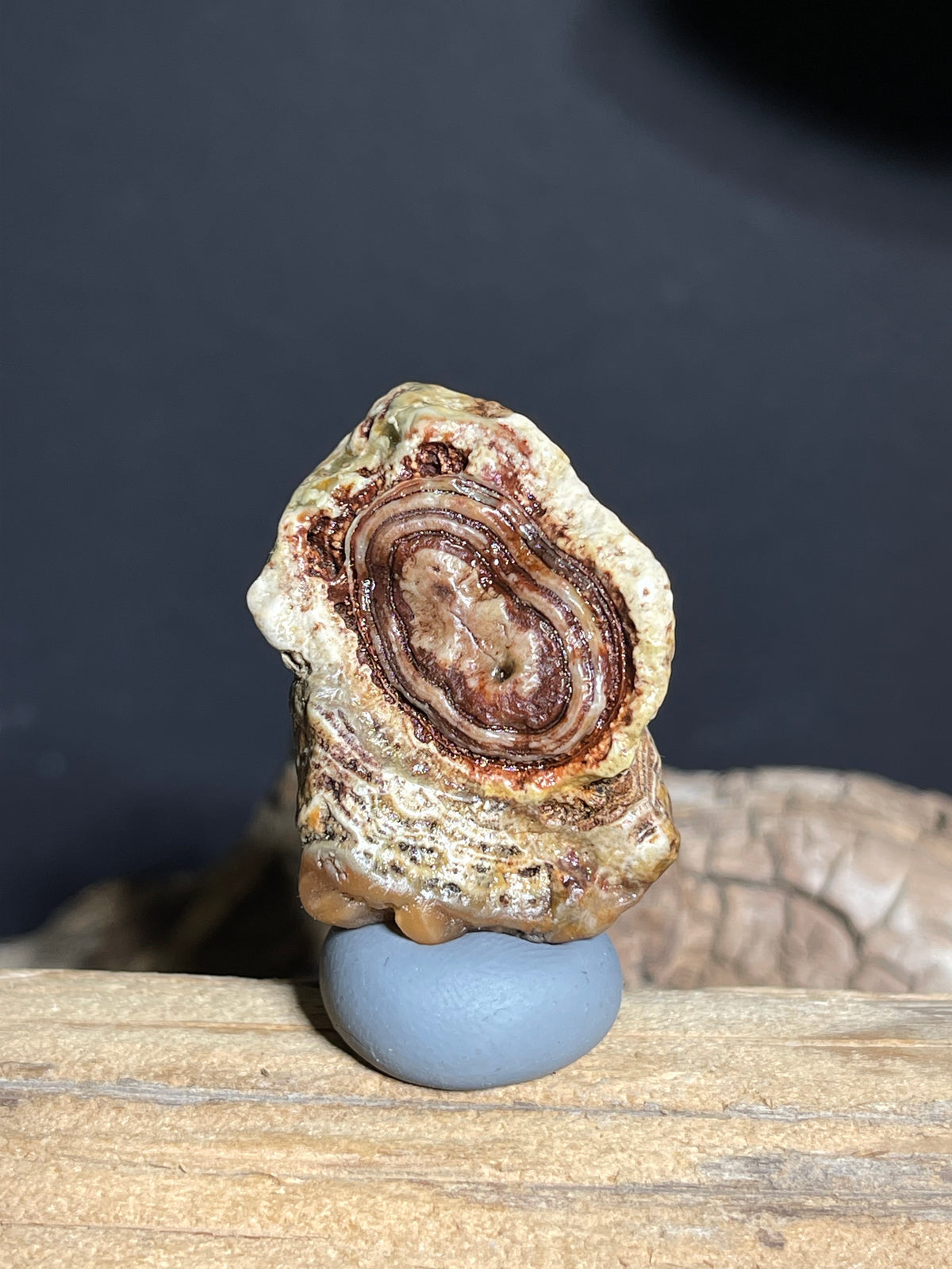 (1100)Natural Alxa Gobi Eye Agate - Large Oval Concentric Eye with Layered Banding