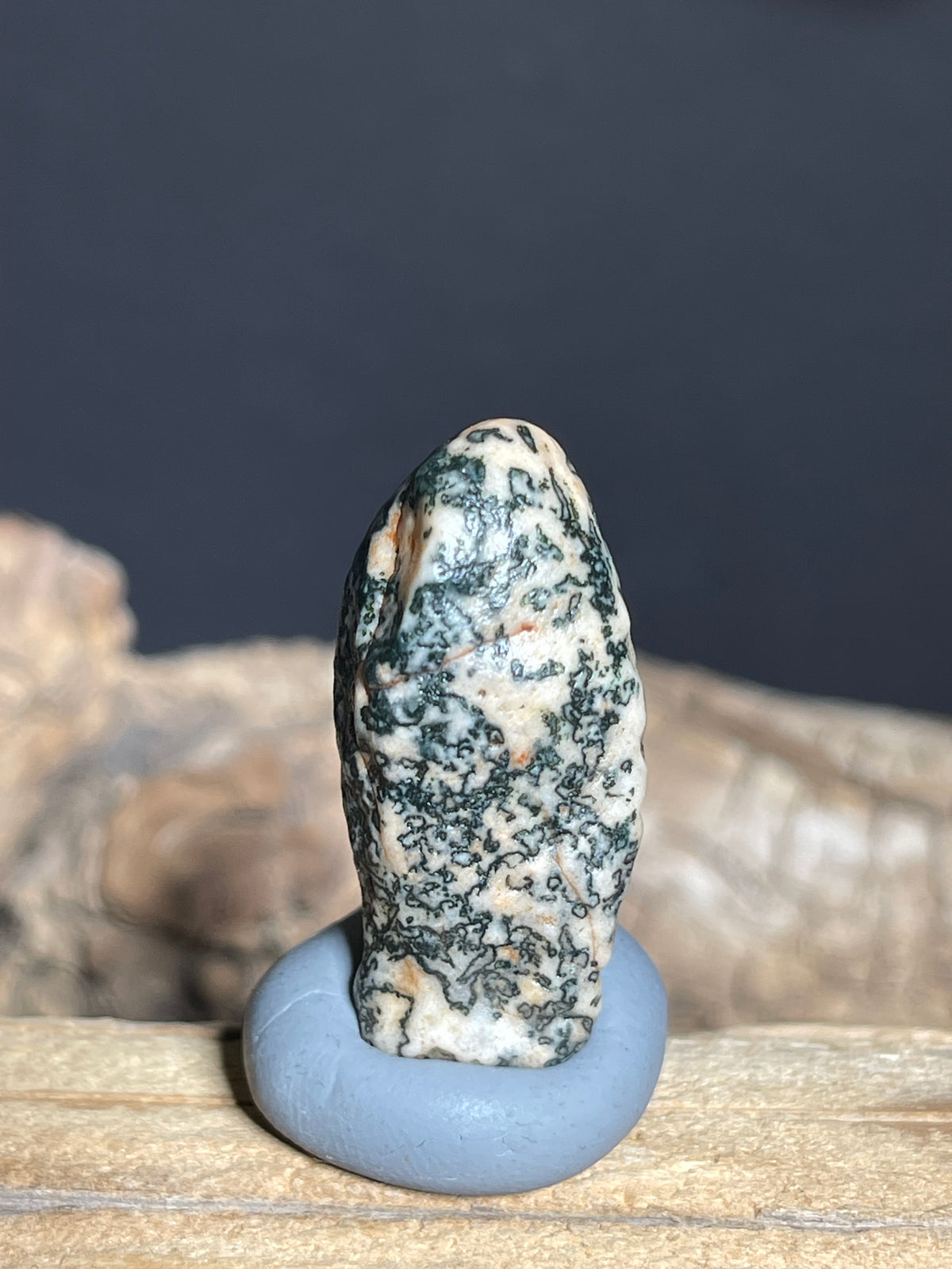 (1107)Natural Alxa Gobi Agate - Black Dendritic Pattern Collector stone