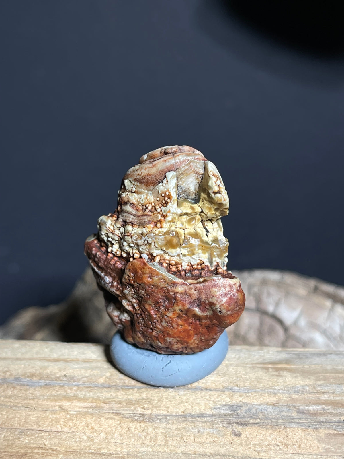 (1101)Natural Alxa Gobi Eye Agate - Sculptural Concentric Eye & Botryoidal Texture