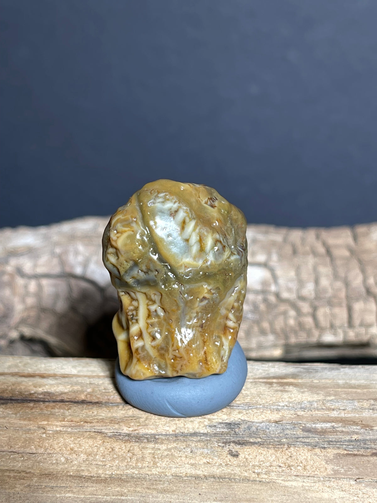 (1071)Natural Alxa Gobi Vein Agate - Branching Vein Patterns
