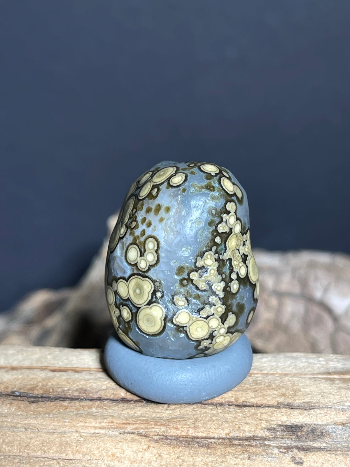 (1019)Natural Alxa Gobi Multi-Eye Agate - Yellow Orbicular Patterns