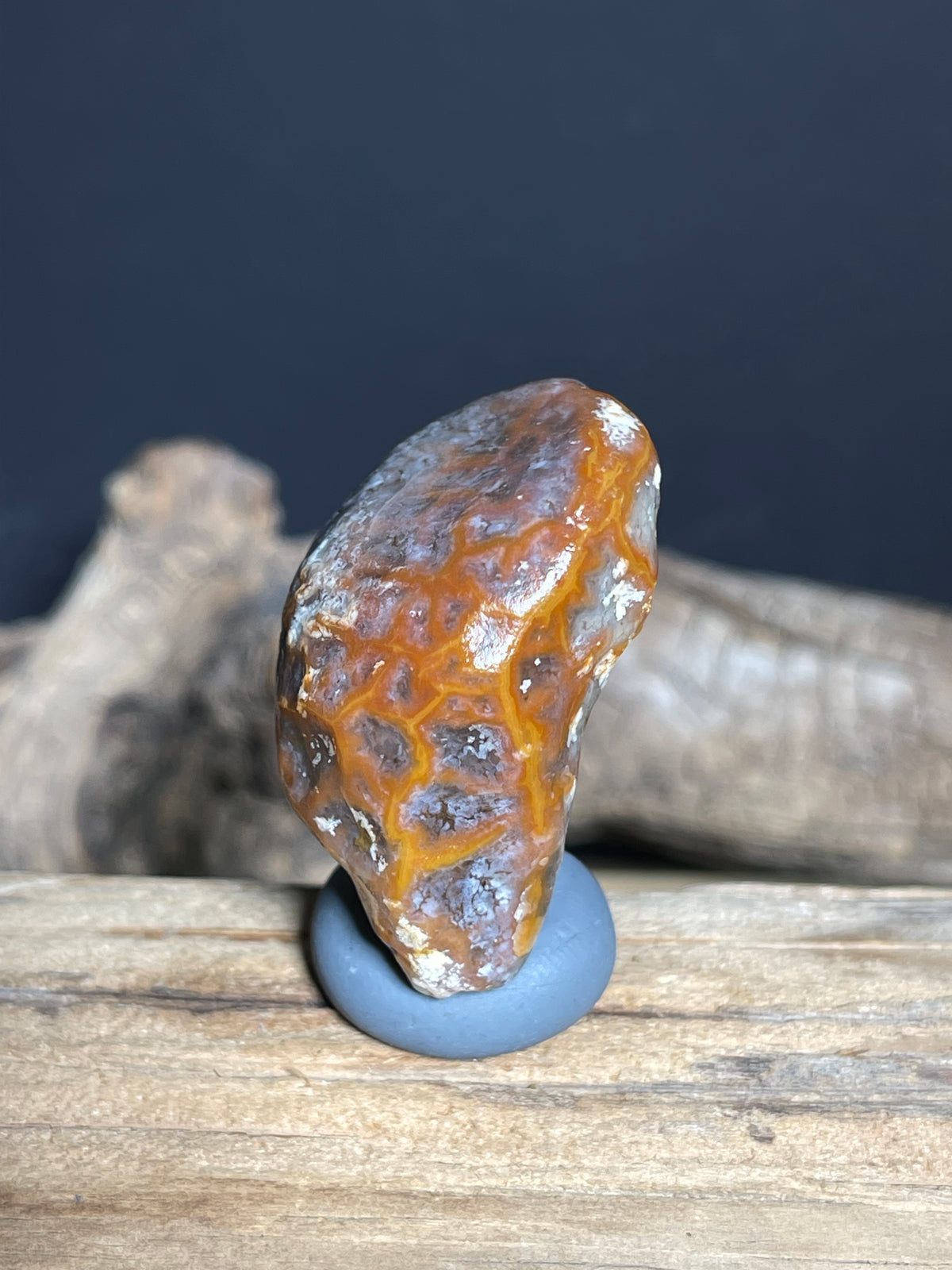 (1058)Natural Alxa Gobi Vein Agate - Orange Network Pattern Desert Stone