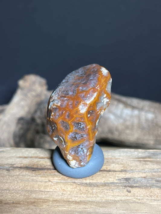 (1058)Natural Alxa Gobi Vein Agate - Orange Network Pattern Desert Stone