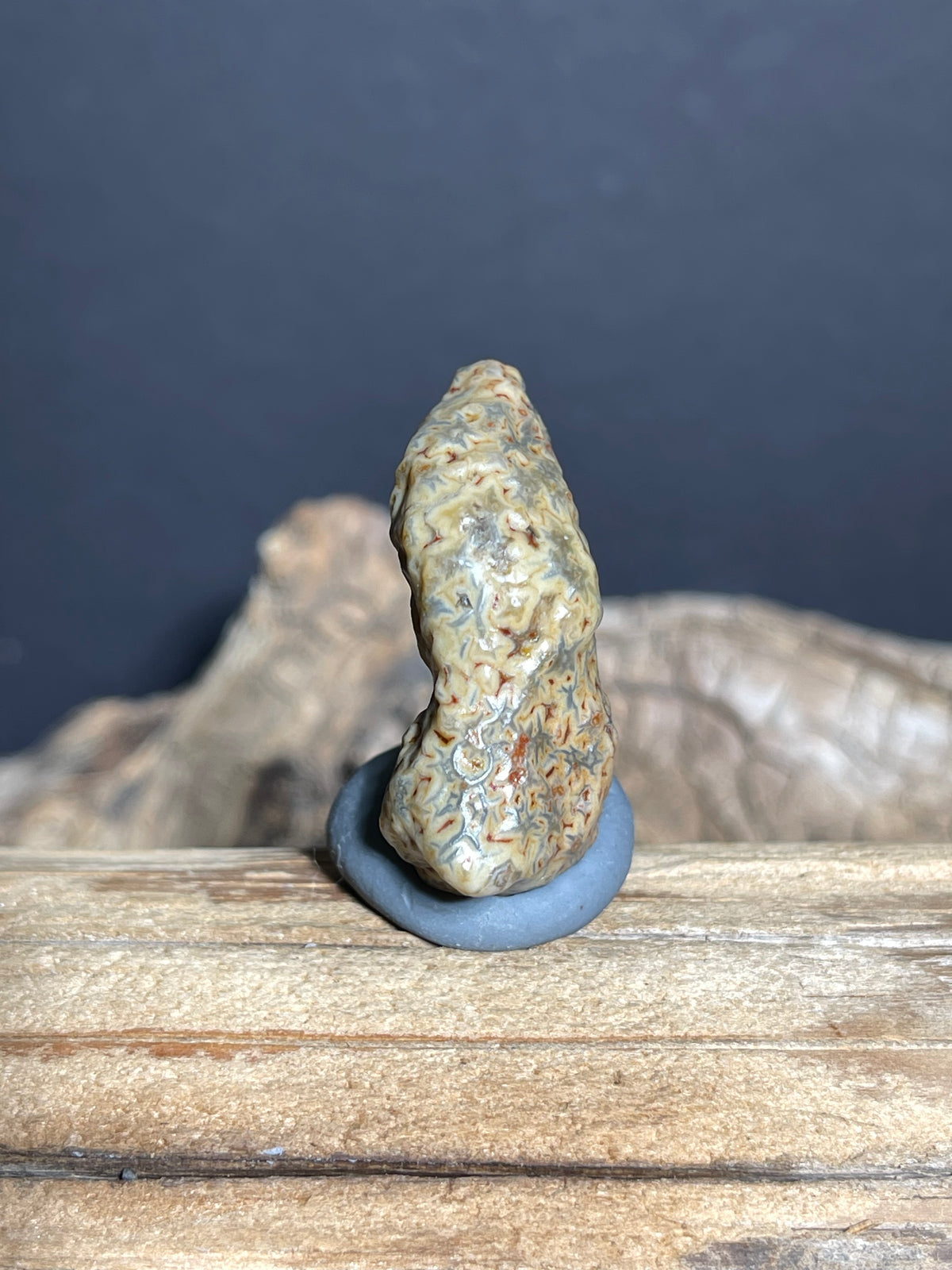 (1032)Natural Alxa Gobi Vein Agate - Curved Sculpture Stone with Intricate Patterns