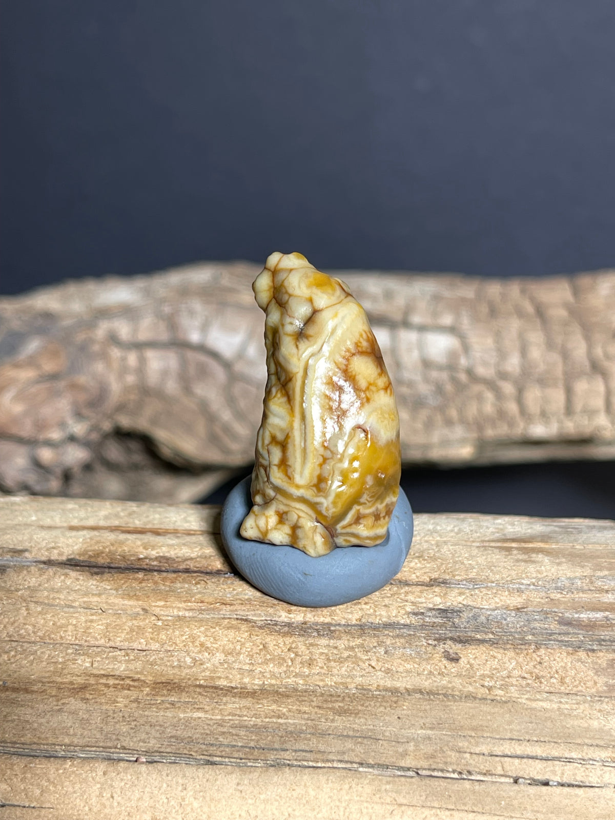 (1076)Natural Alxa Gobi Vein Agate - Tooth-Like Shape with Intricate Golden Patterns