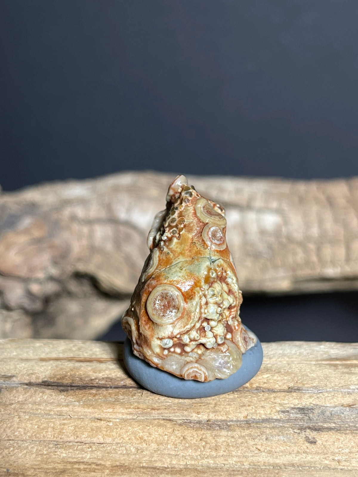 (1079)Ntural Alxa Gobi Eye Agate - Multi-Eye Animal-Like Formation