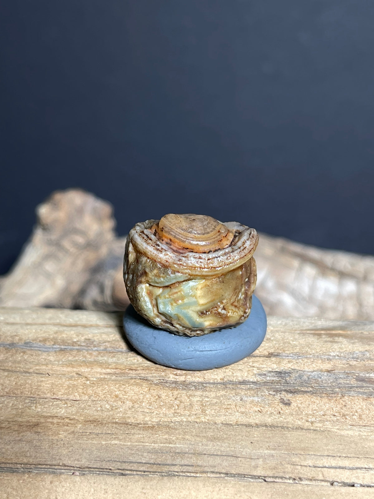 (1088)Natural Alxa Gobi Eye Agate - Raised Orbicular Eye