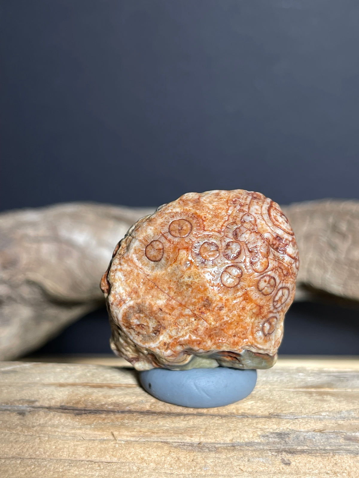 (1068)Natural Alxa Gobi Eye Agate - Large Orbicular Eye with Multi-Eye Pattern