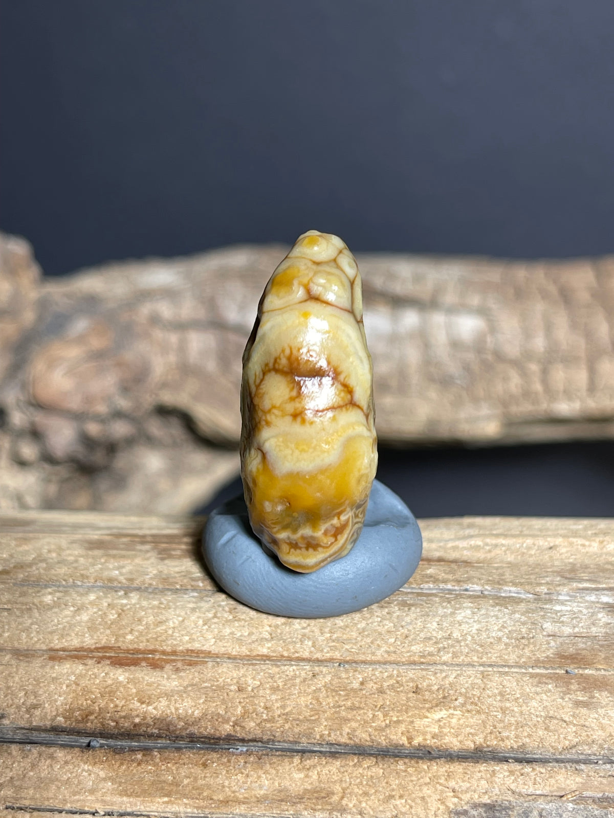 (1076)Natural Alxa Gobi Vein Agate - Tooth-Like Shape with Intricate Golden Patterns