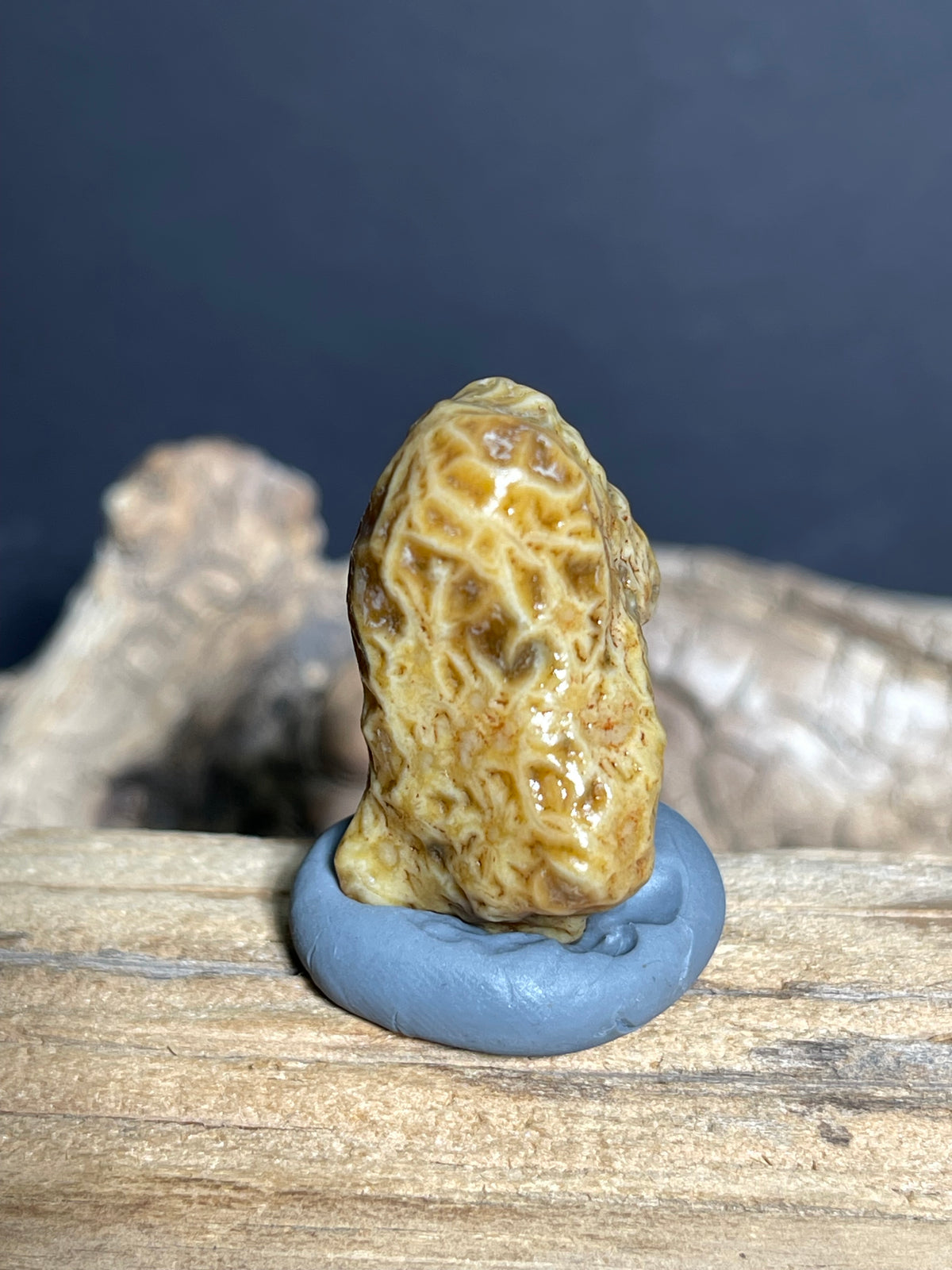(1082)Natural Alxa Gobi Vein Agate - Golden Yellow Maze pattern