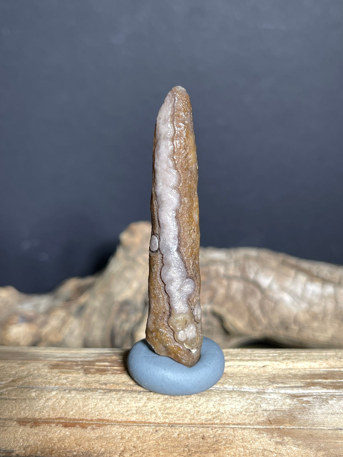 (1031) Natural Alxa Gobi Eye Agate - Long Narrow Stone with Raised Chalcedony Vein