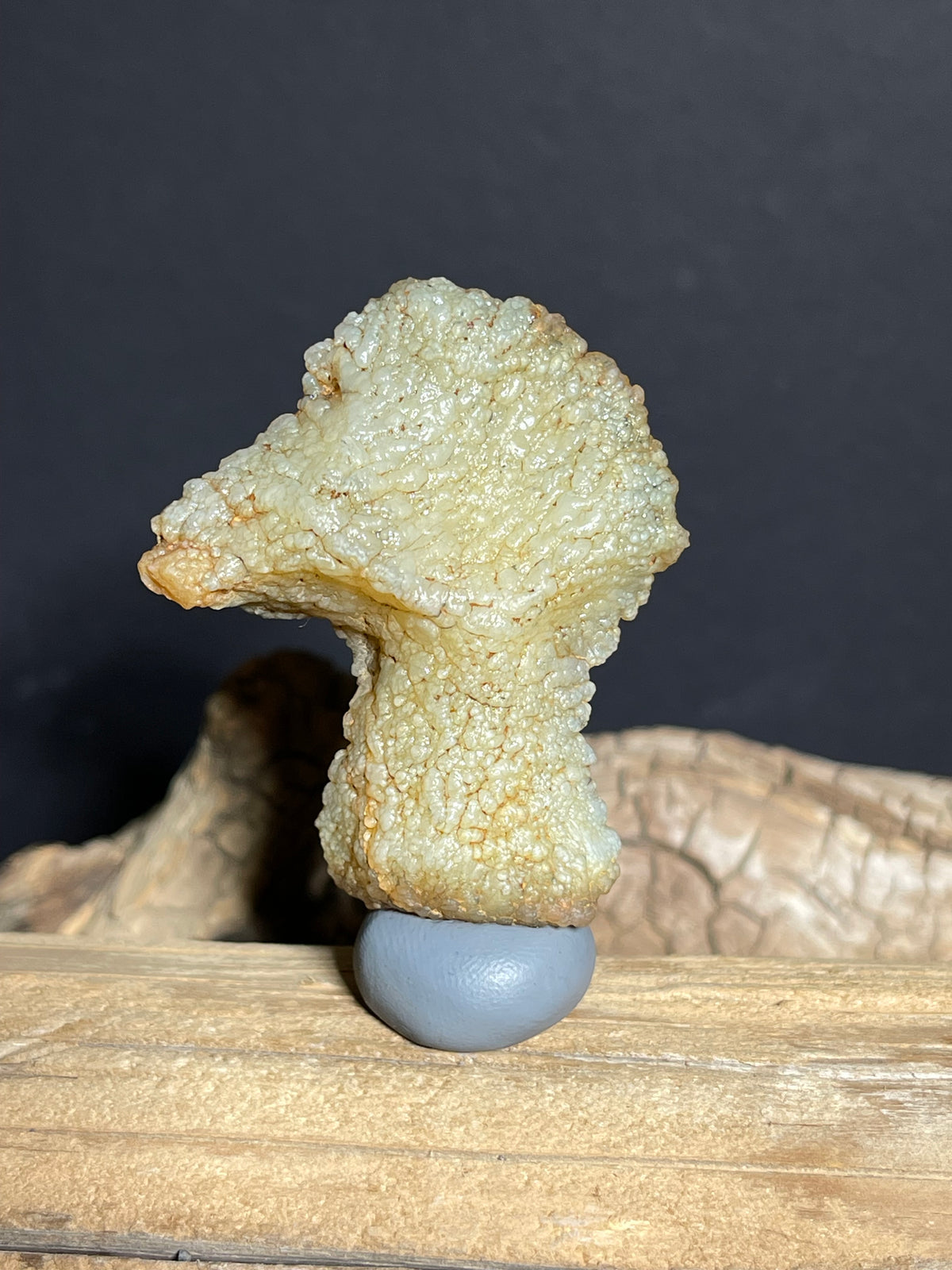 (1131) Natural Alxa Gobi Agate Mimetolith- Bird-Like Form with Botryoidal Texture