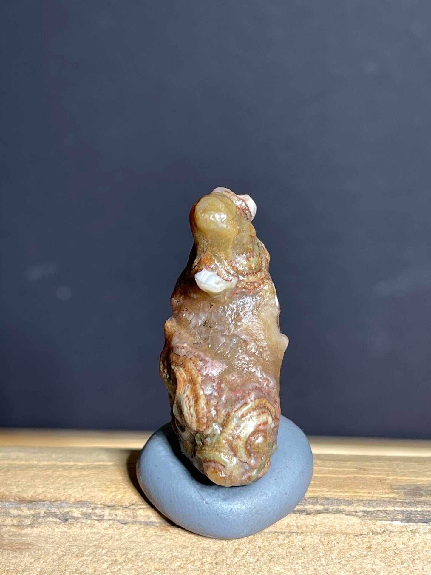 (1139)Alxa Gobi Eye Agate- Natural Squirrel- Shaped Collector Stone