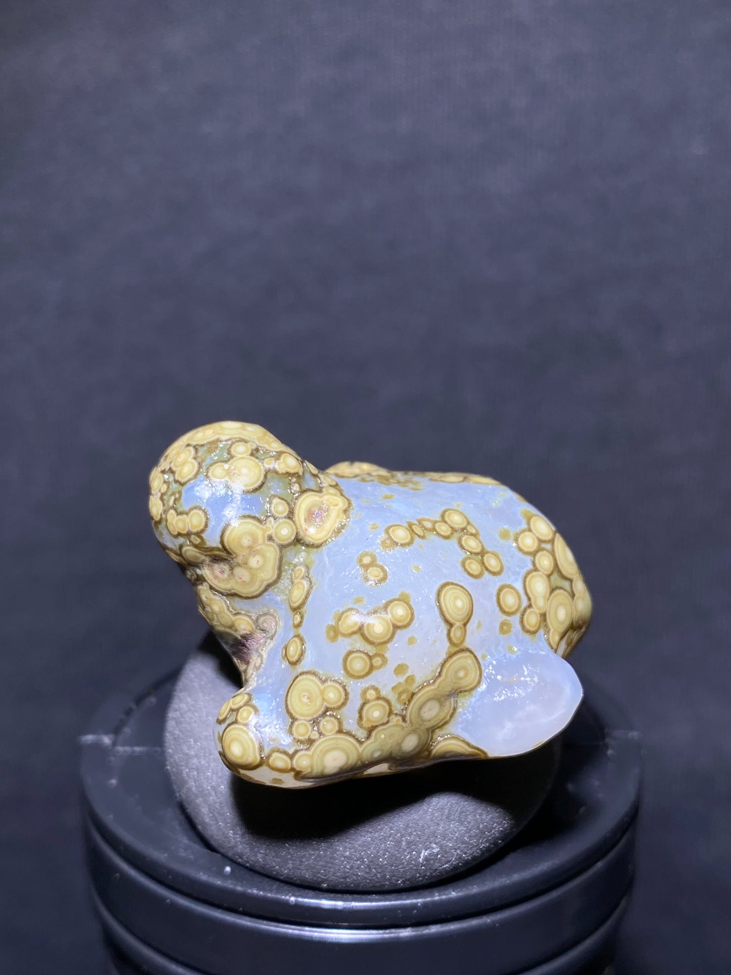 (1002)Alxa Desert Gobi eye Agate rough nature stone,Animal-like stone,Natural Color Raw Stone from Inner Mongolia