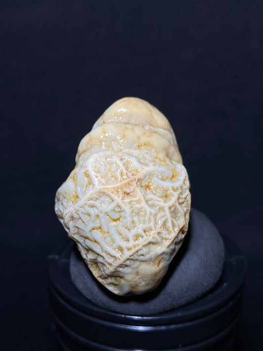 (1004)Alxa Desert Gobi vein Agate rough nature stone,Natural Color Raw Stone from Inner Mongolia.