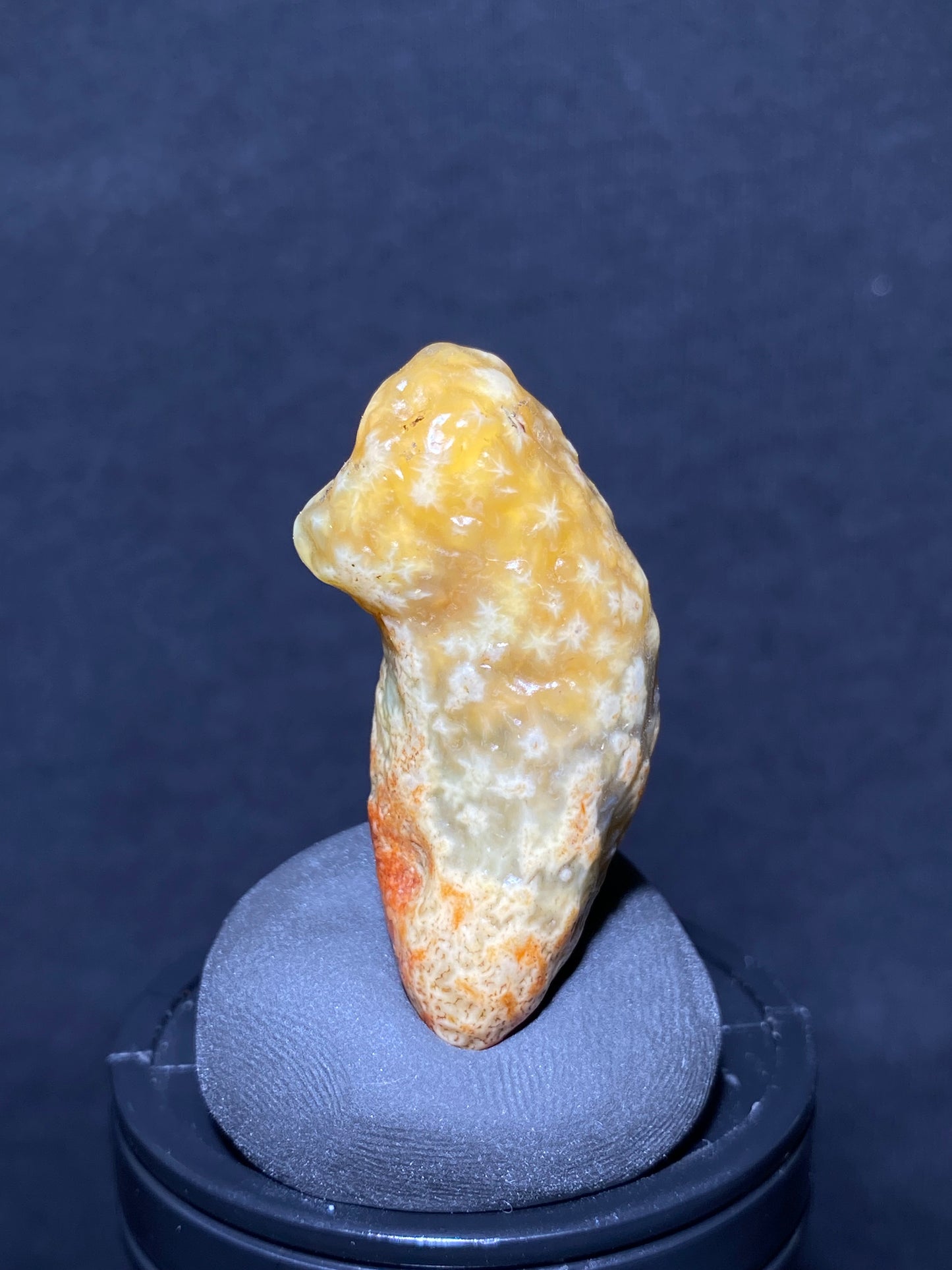 (1005)Alxa Desert Gobi vein Agate with Intricate Floral Patterns, rough nature stone,Natural Color Raw Stone from Inner Mongolia.