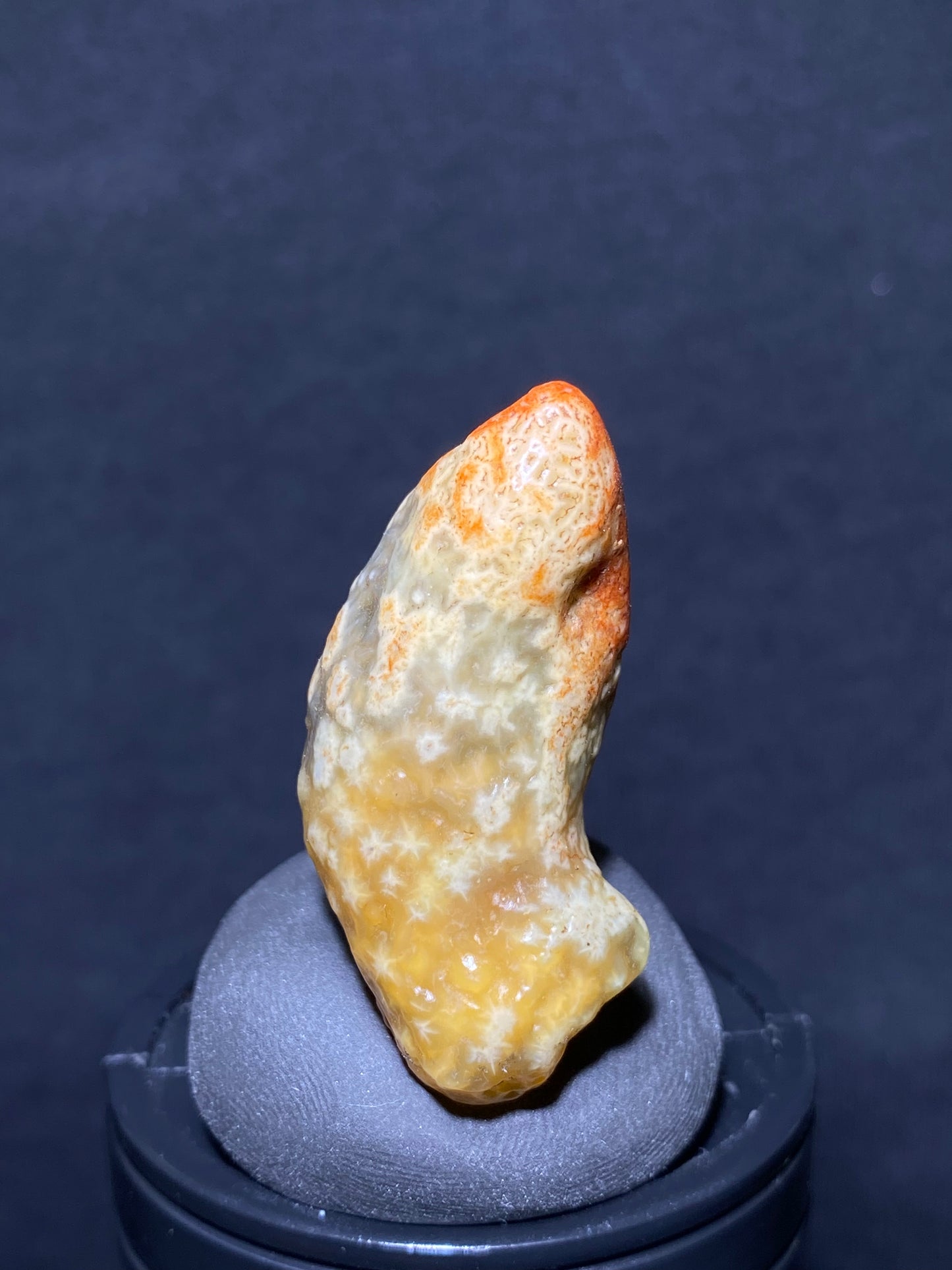 (1005)Alxa Desert Gobi vein Agate with Intricate Floral Patterns, rough nature stone,Natural Color Raw Stone from Inner Mongolia.