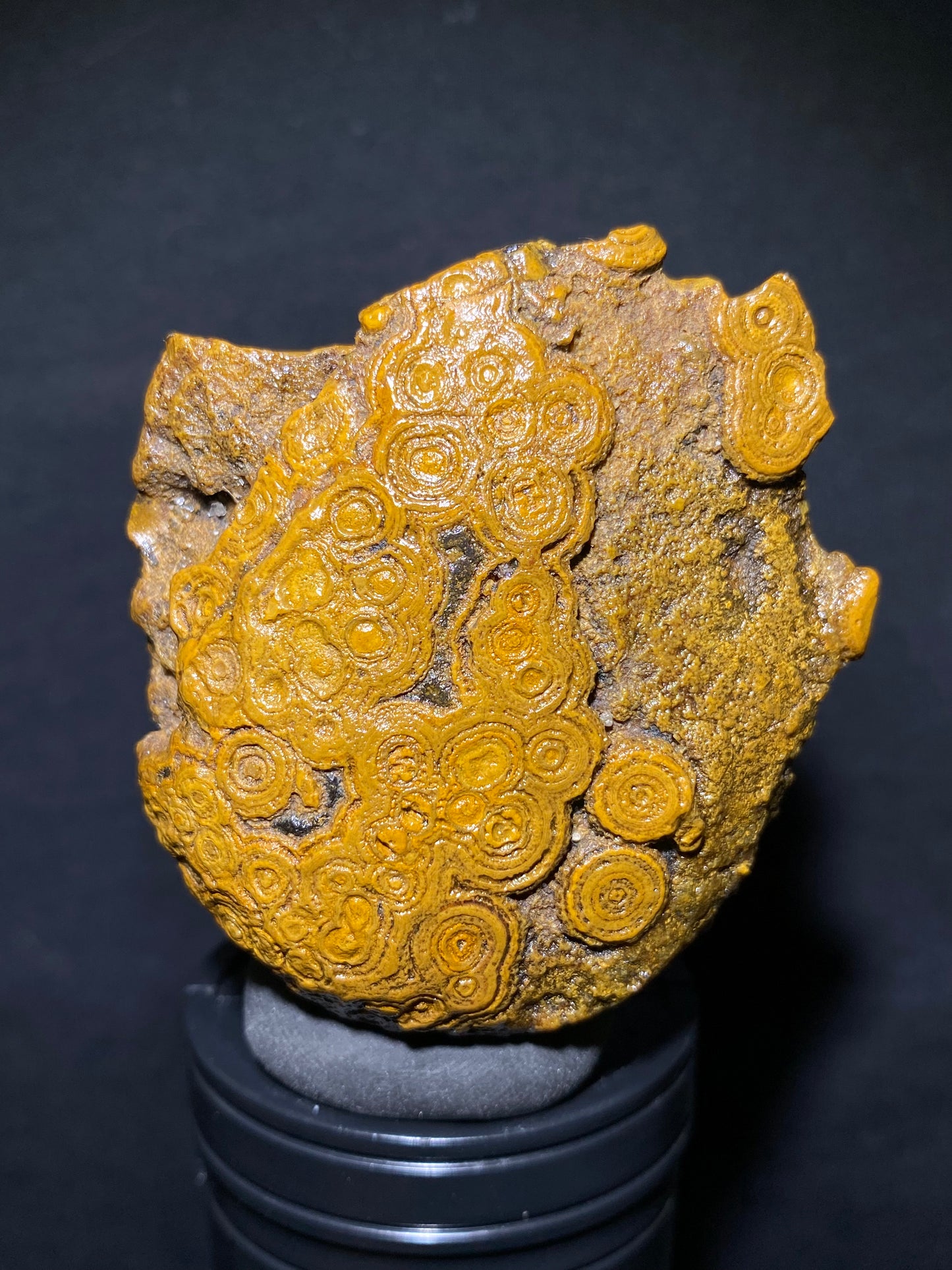 (1006)Alxa Gobi Desert Coin Eye Agate – Mongolian Gobi Stone with Natural Ring Pattern, Handheld Raw Spiral Agate for Collectors.