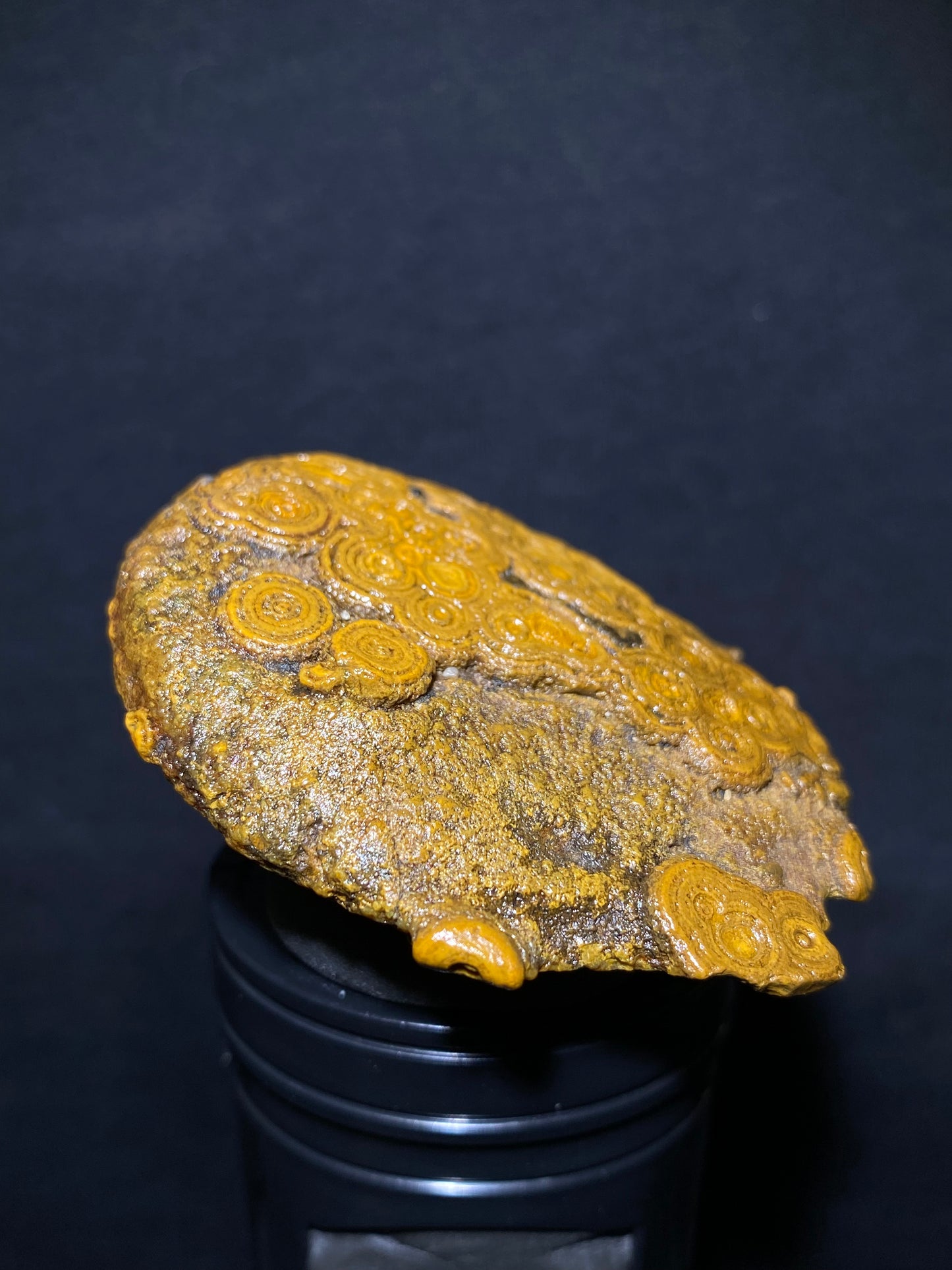 (1006)Alxa Gobi Desert Coin Eye Agate – Mongolian Gobi Stone with Natural Ring Pattern, Handheld Raw Spiral Agate for Collectors.