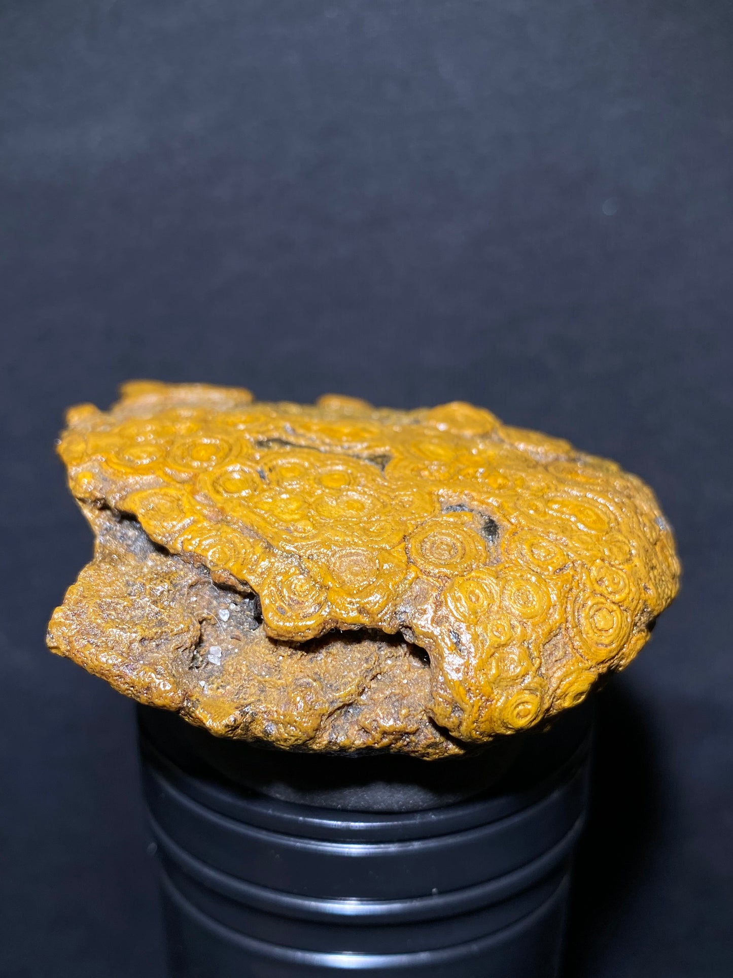 (1006)Alxa Gobi Desert Coin Eye Agate – Mongolian Gobi Stone with Natural Ring Pattern, Handheld Raw Spiral Agate for Collectors.