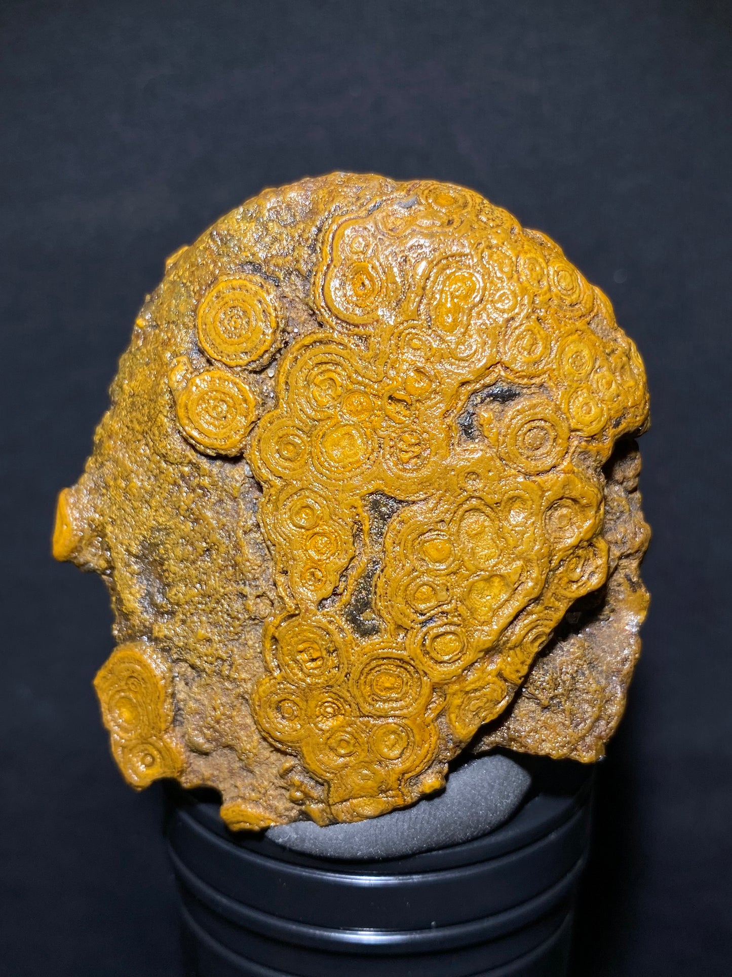 (1006)Alxa Gobi Desert Coin Eye Agate – Mongolian Gobi Stone with Natural Ring Pattern, Handheld Raw Spiral Agate for Collectors.