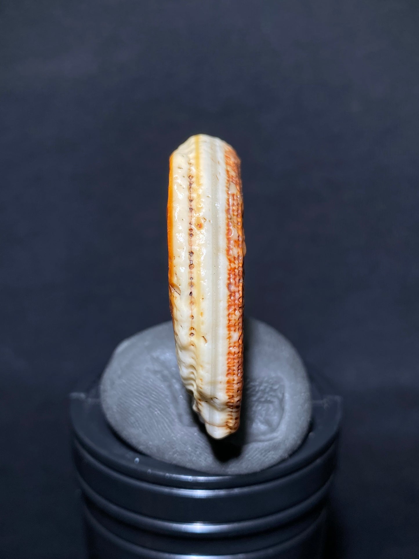 (1007)Alxa Desert Gobi Agate, rough nature varnish stone, Natural red Color Raw Stone from Inner Mongolia.