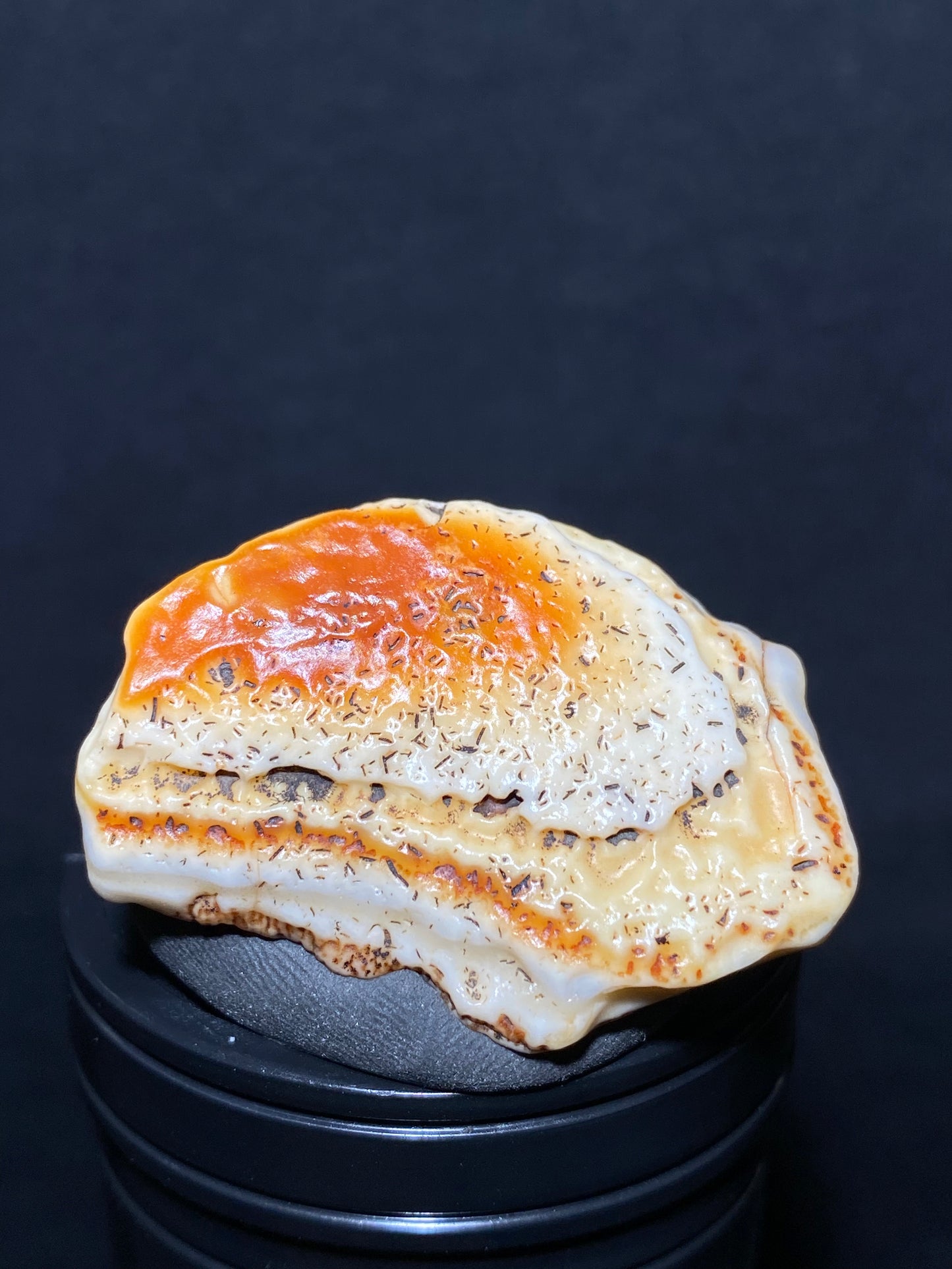 (1007)Alxa Desert Gobi Agate, rough nature varnish stone, Natural red Color Raw Stone from Inner Mongolia.