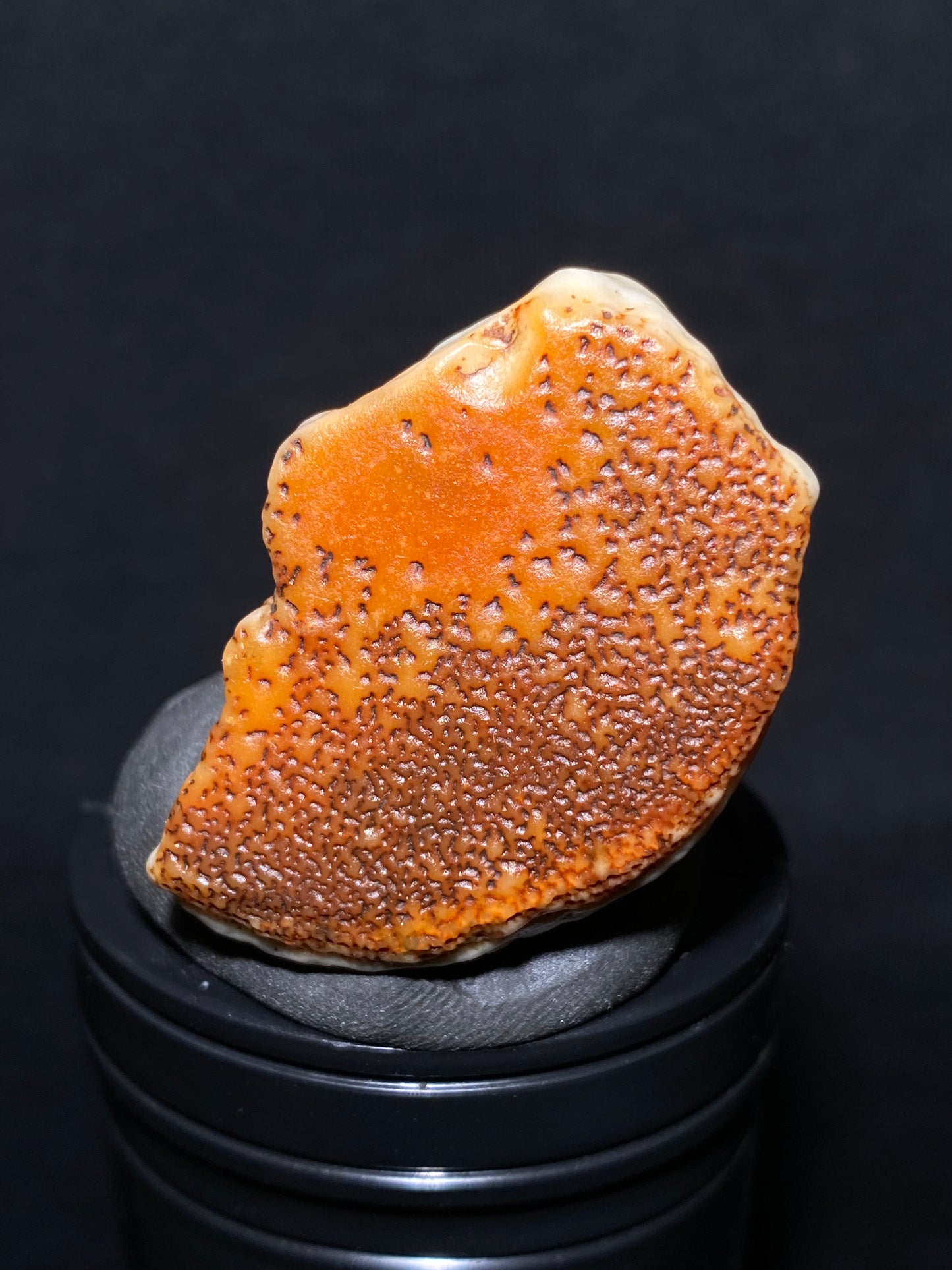 (1007)Alxa Desert Gobi Agate, rough nature varnish stone, Natural red Color Raw Stone from Inner Mongolia.