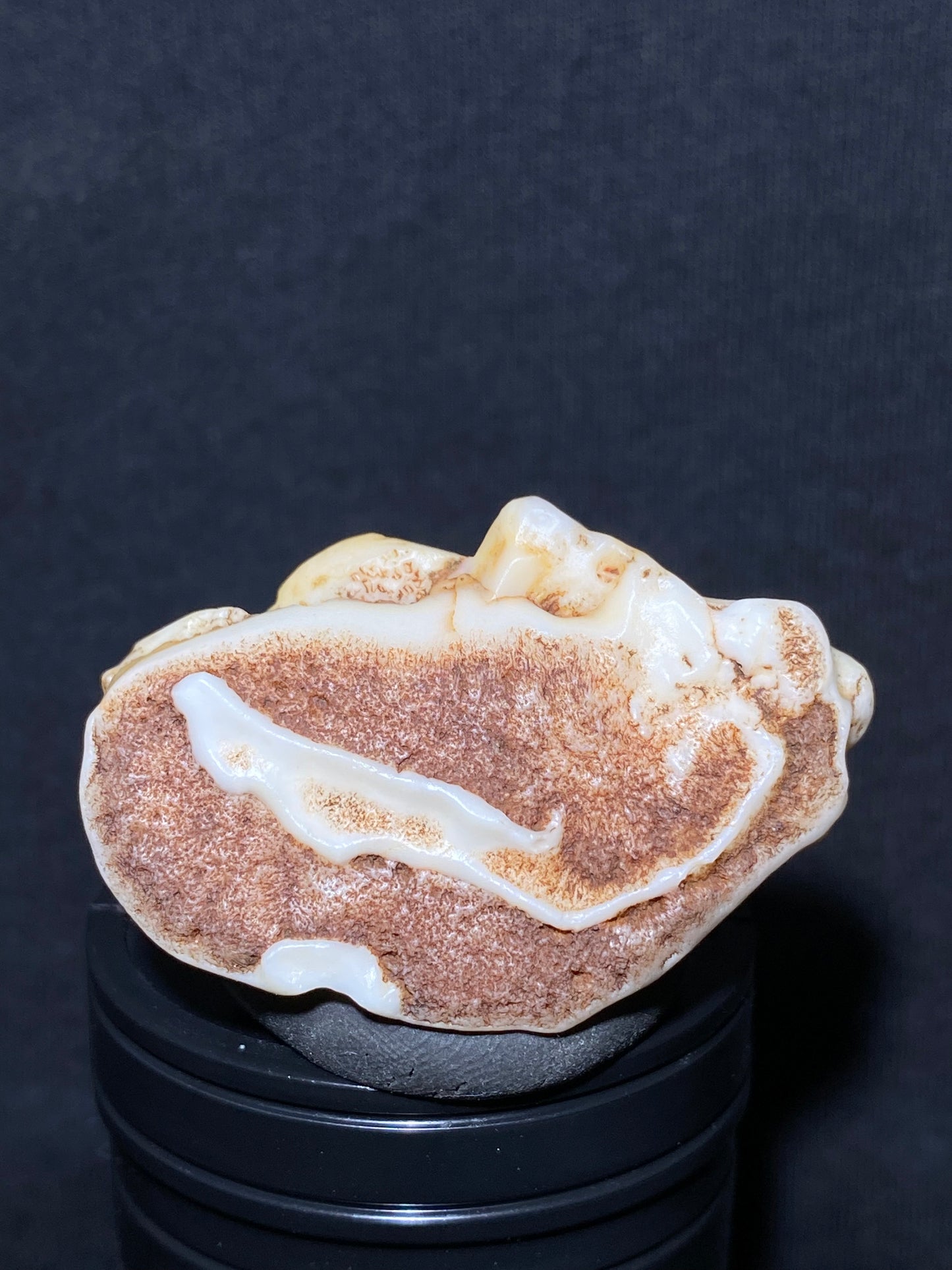 (1012)Alxa Desert Gobi Agate rough nature stone,Natural Color Raw Stone from Inner Mongolia.