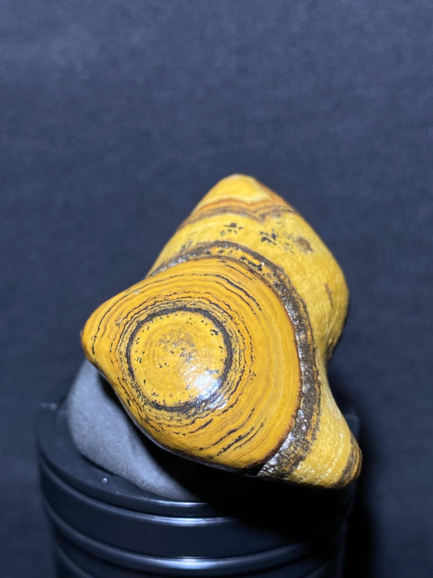 (1021)Alxa Desert Gobi coin eye Agate rough nature stone,Natural Color Raw Stone from Inner Mongolia.