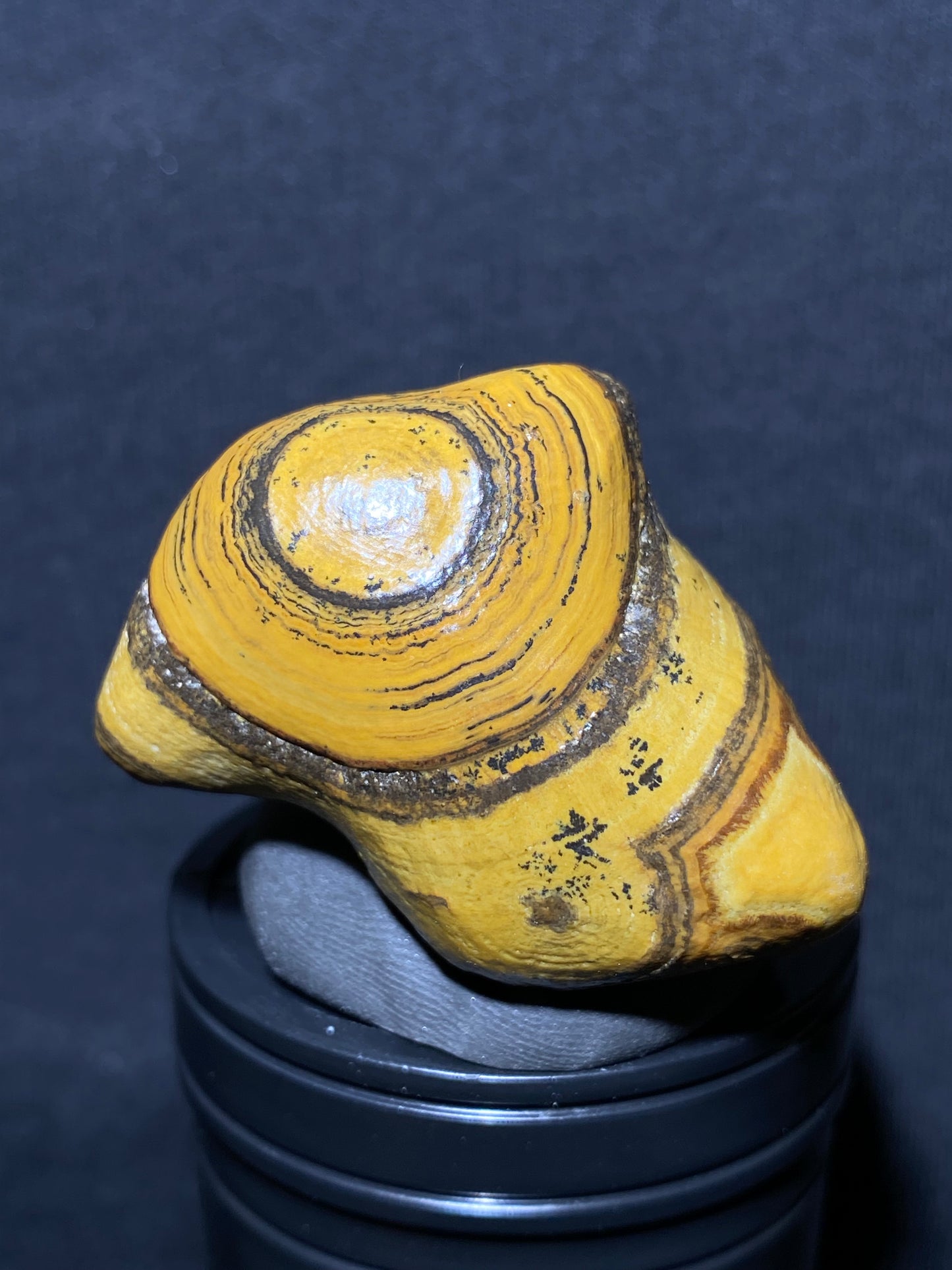 (1021)Alxa Desert Gobi coin eye Agate rough nature stone,Natural Color Raw Stone from Inner Mongolia.