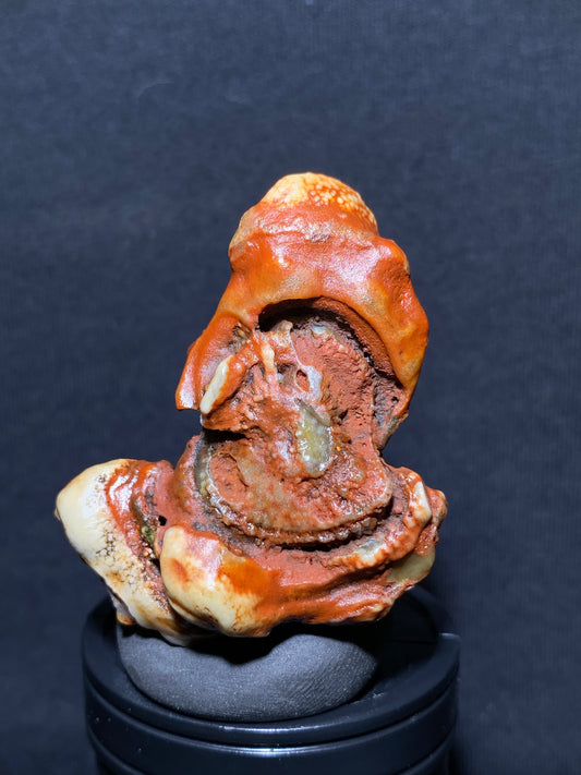 (1023)Alxa Desert Gobi eye Agate rough nature stone,Natural red Color Raw Stone from Inner Mongolia.