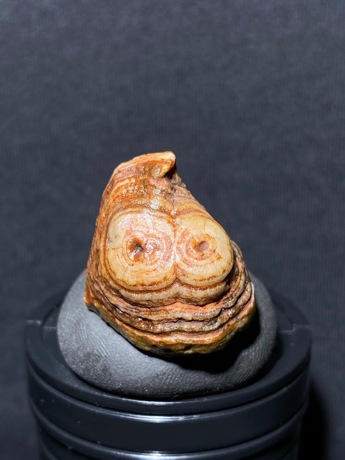 (1024)Alxa Desert Gobi eye Agate rough nature stone,Natural Color Raw Stone from Inner Mongolia.