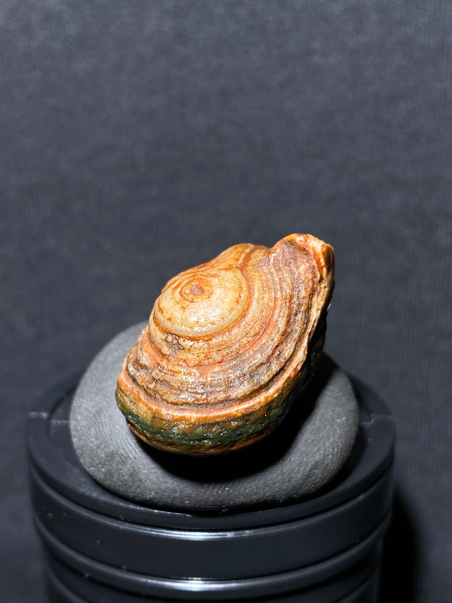 (1024)Alxa Desert Gobi eye Agate rough nature stone,Natural Color Raw Stone from Inner Mongolia.