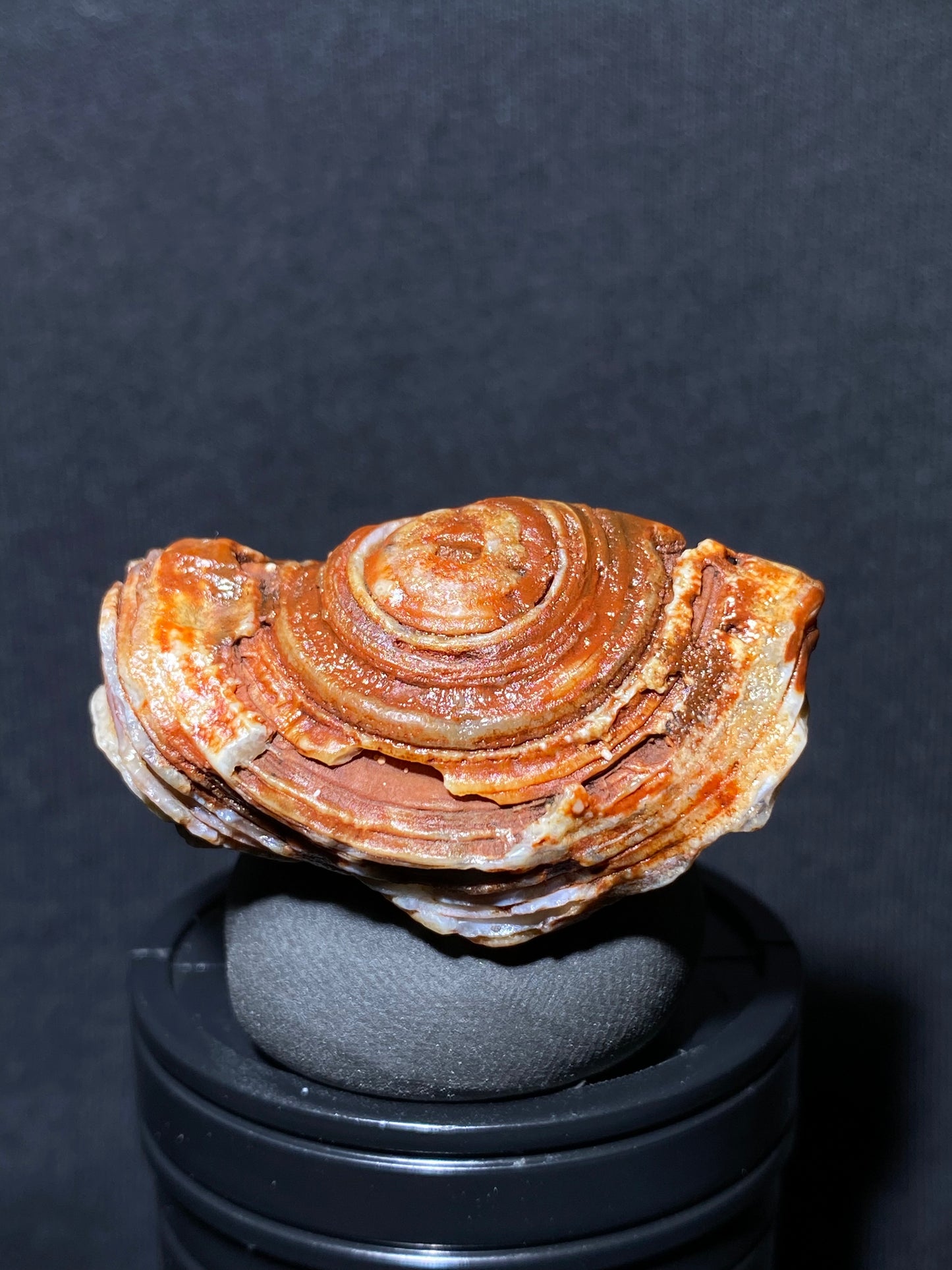 (1025)Alxa Desert Gobi red eye Agate, rough nature stone,Natural red Color Raw Stone from Inner Mongolia.