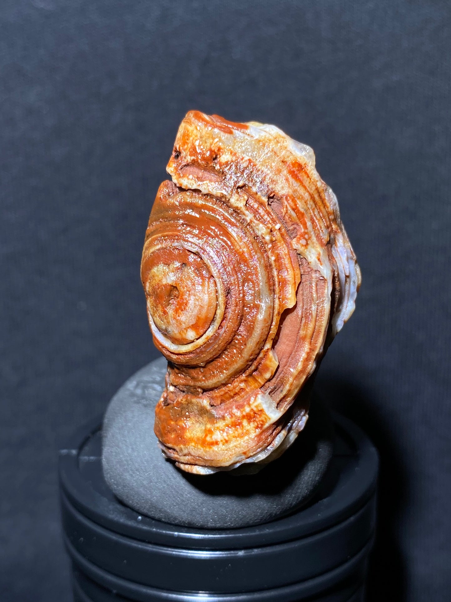 (1025)Alxa Desert Gobi red eye Agate, rough nature stone,Natural red Color Raw Stone from Inner Mongolia.