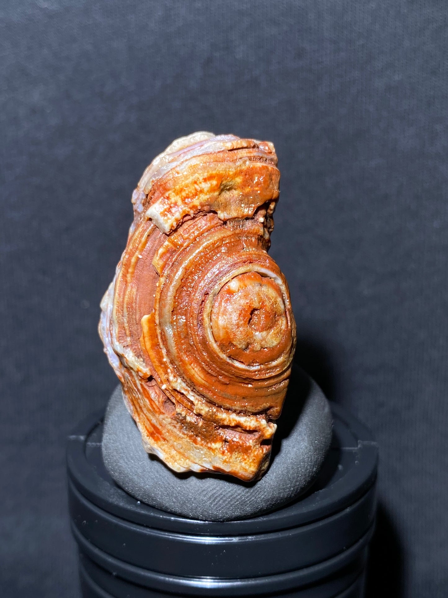 (1025)Alxa Desert Gobi red eye Agate, rough nature stone,Natural red Color Raw Stone from Inner Mongolia.