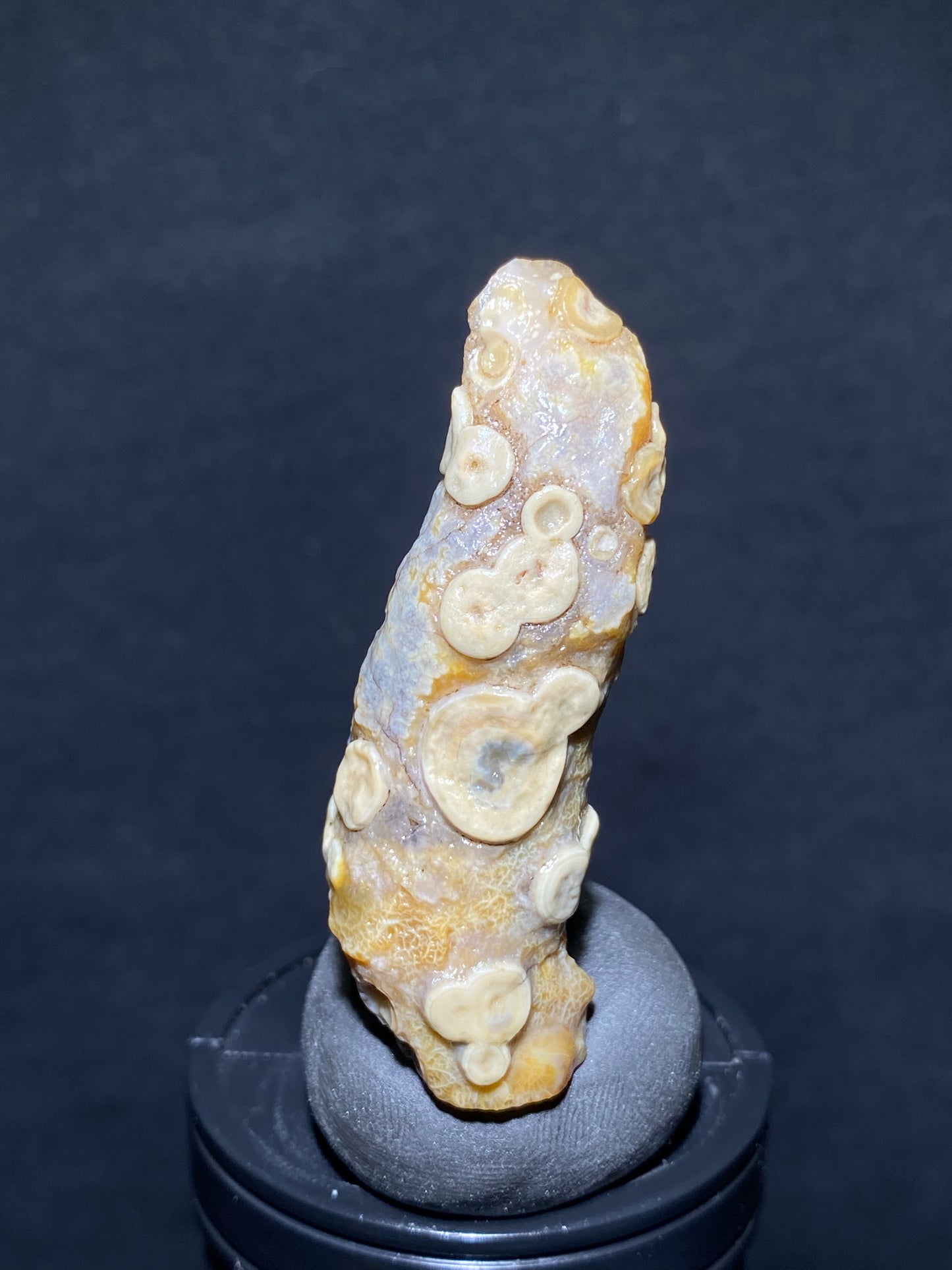 (1030)Alxa Desert Gobi eye Agate rough nature stone, face-like agate,Natural Color Raw Stone from Inner Mongolia.