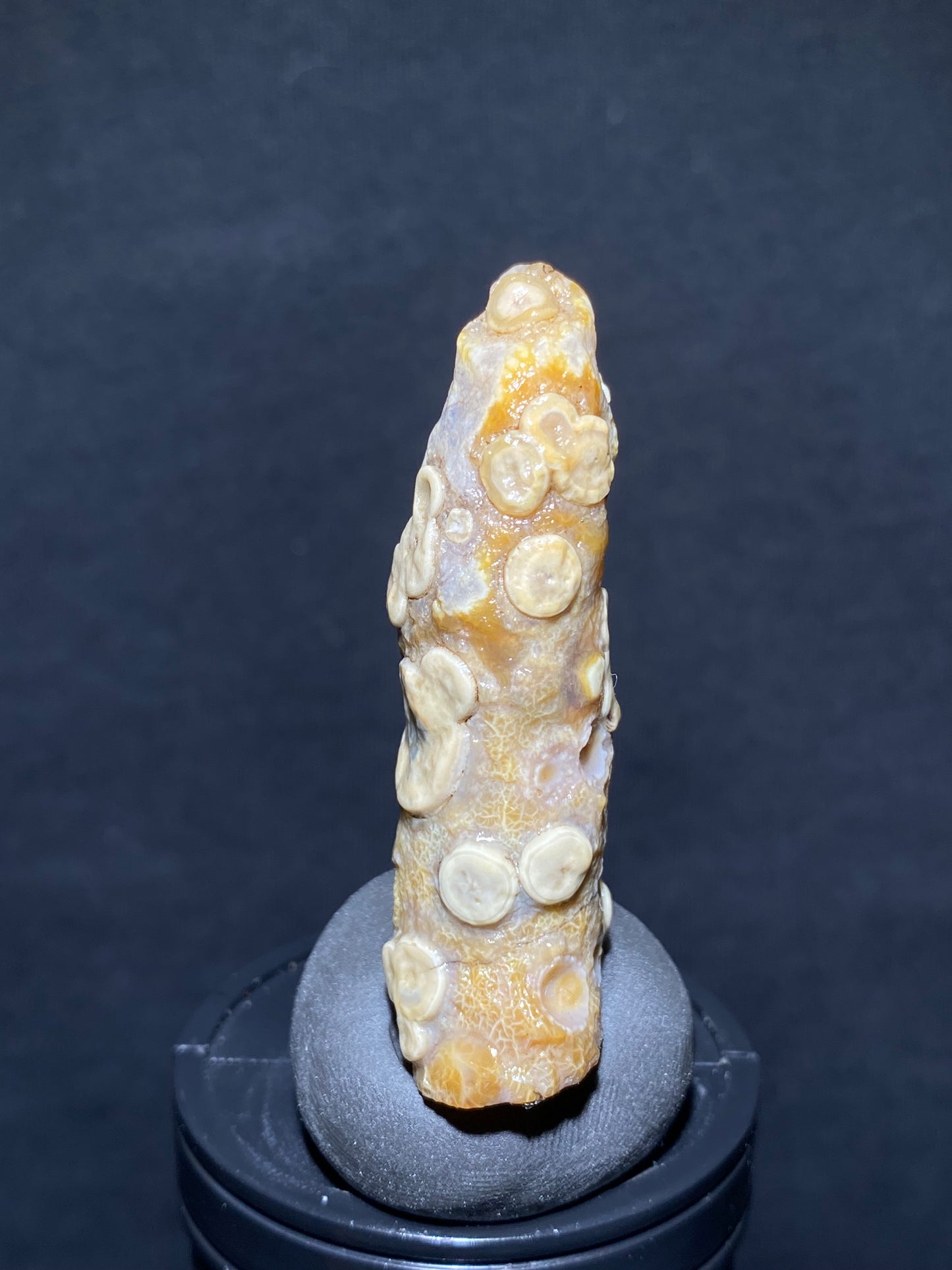 (1030)Alxa Desert Gobi eye Agate rough nature stone, face-like agate,Natural Color Raw Stone from Inner Mongolia.