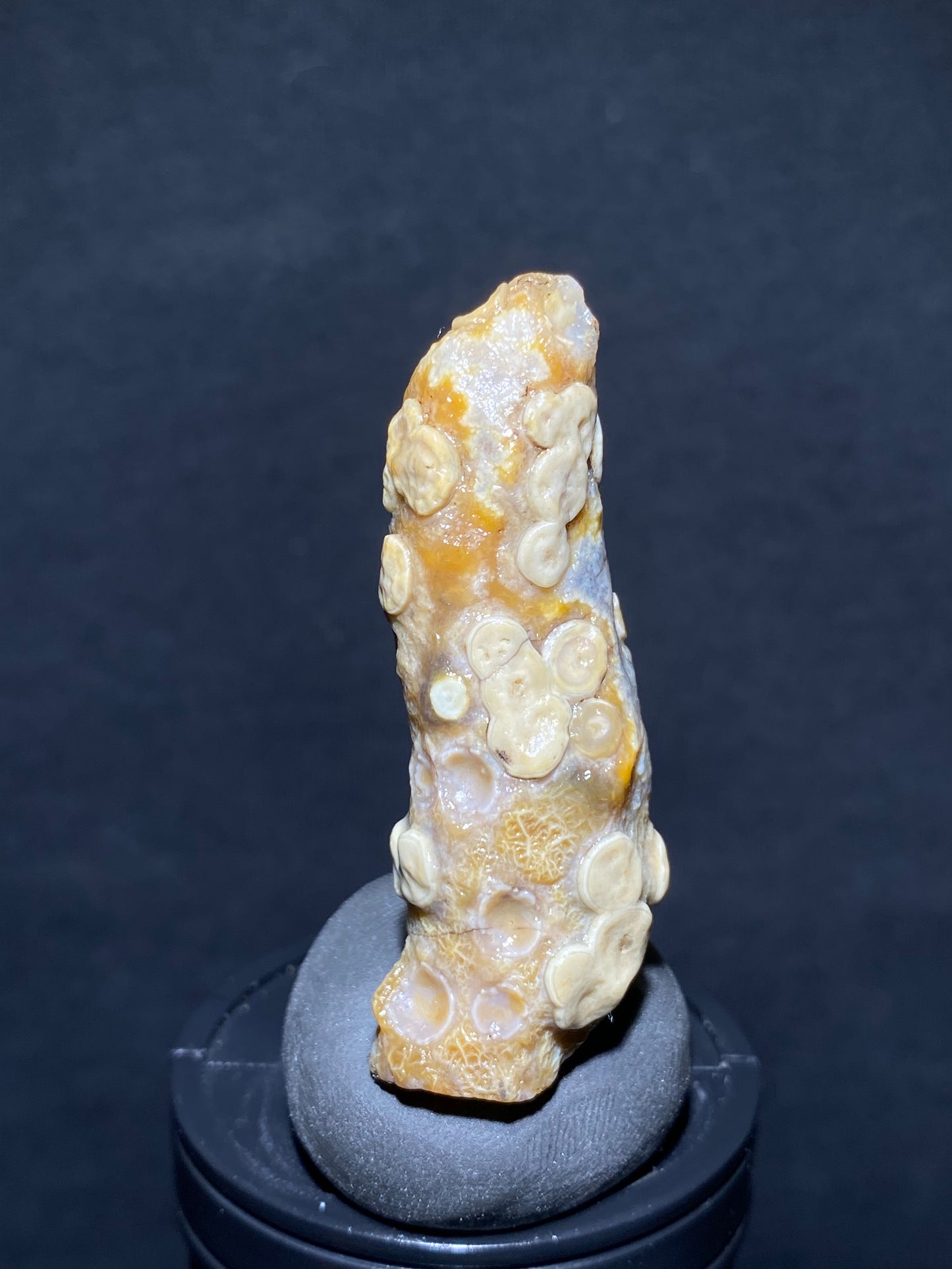 (1030)Alxa Desert Gobi eye Agate rough nature stone, face-like agate,Natural Color Raw Stone from Inner Mongolia.